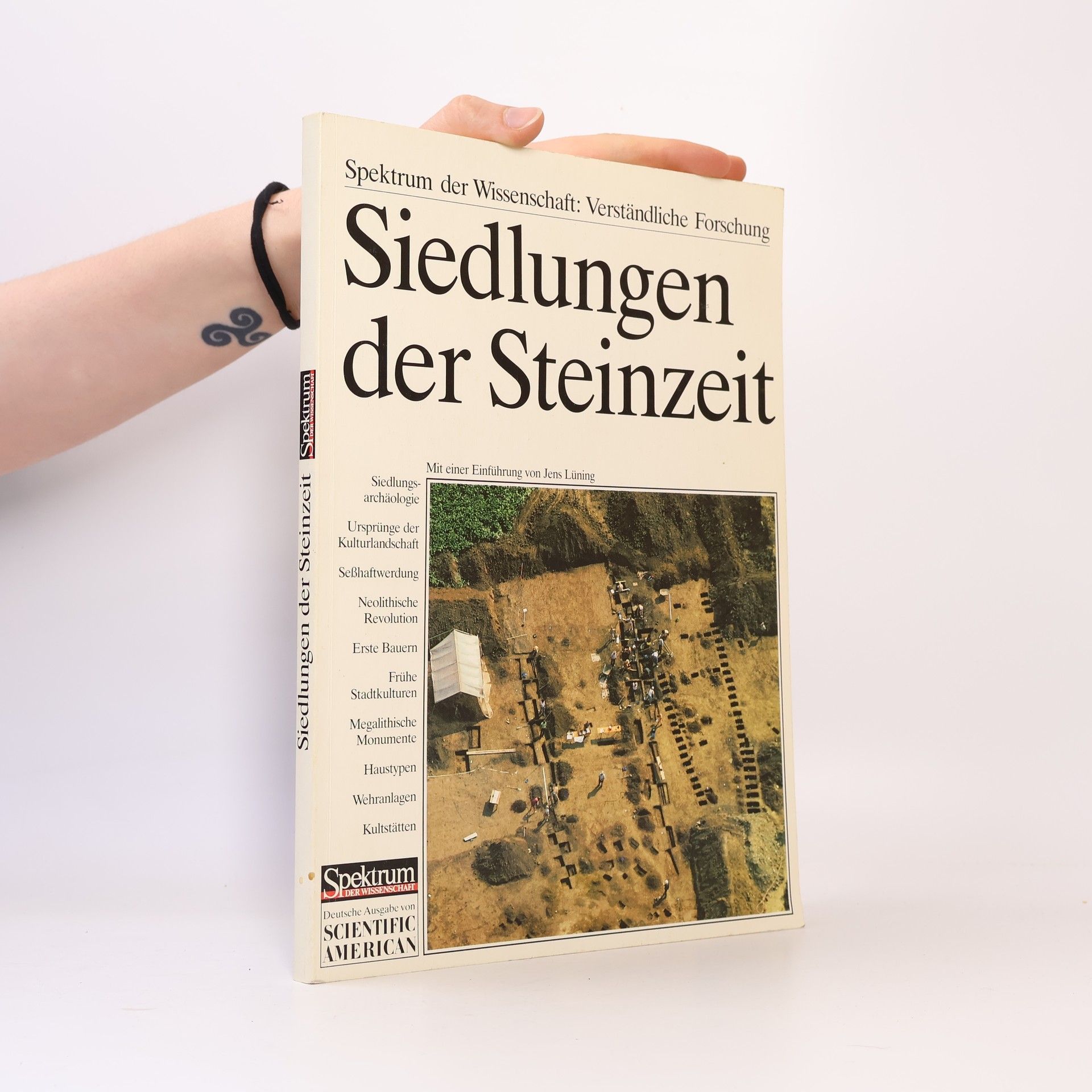Jens Lüning Siedlungen der Steinzeit