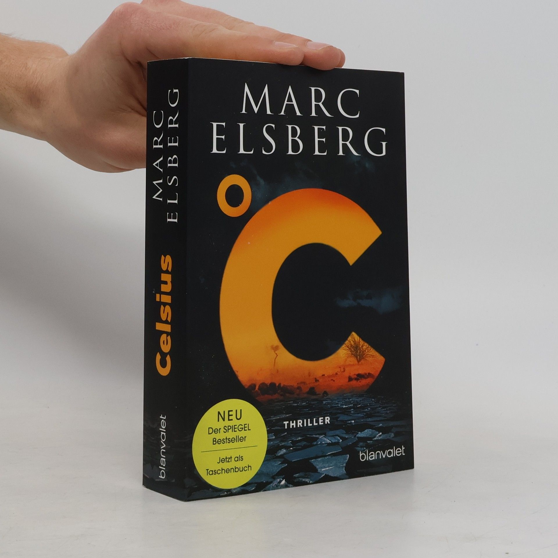 °C – Celsius