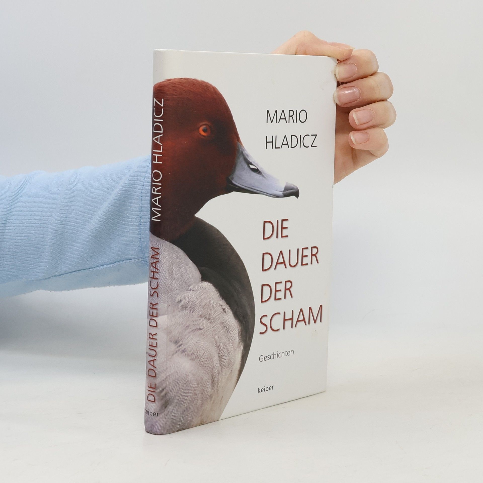 Mario Hladicz Die Dauer der Scham