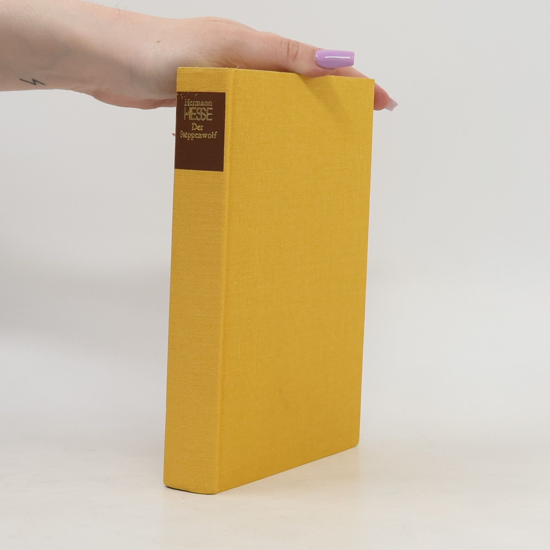 Hermann Hesse Der Steppenwolf