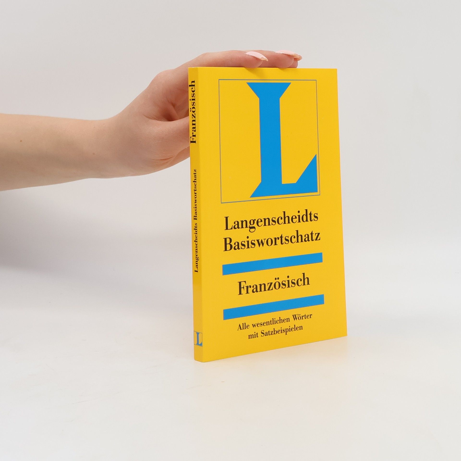 Sabine Lippi Langenscheidts Basiswortschatz Französisch