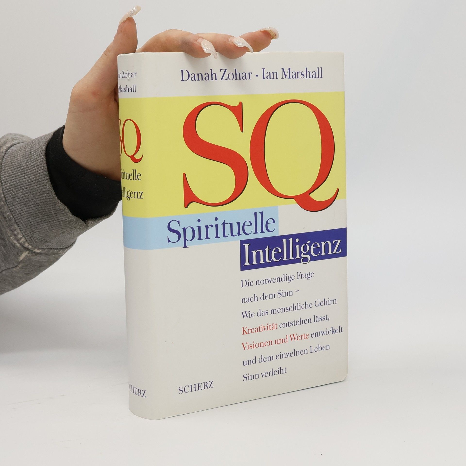 Ian Marshall SQ - spirituelle Intelligenz