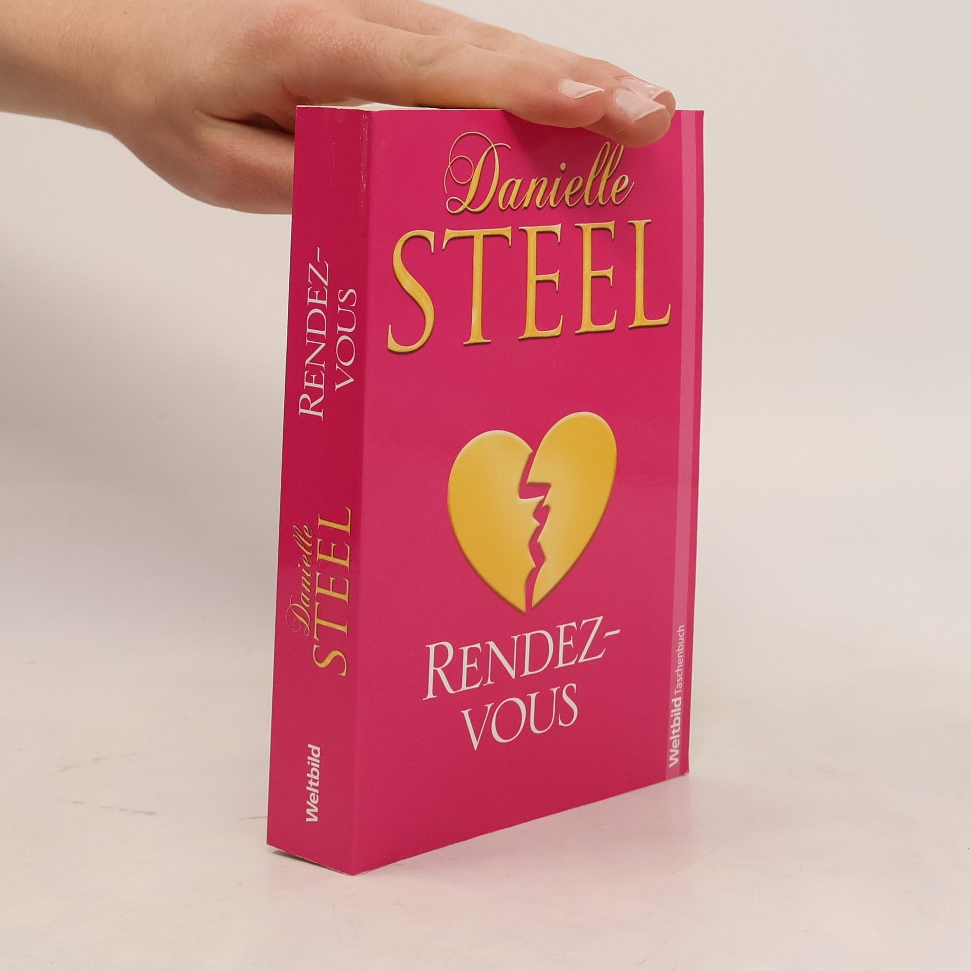 Danielle Steel Rendezvous