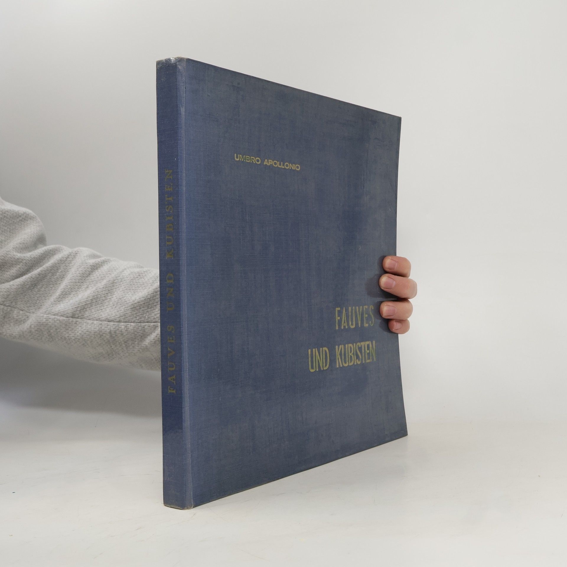 Umbro Apollonio Fauves und Kubisten