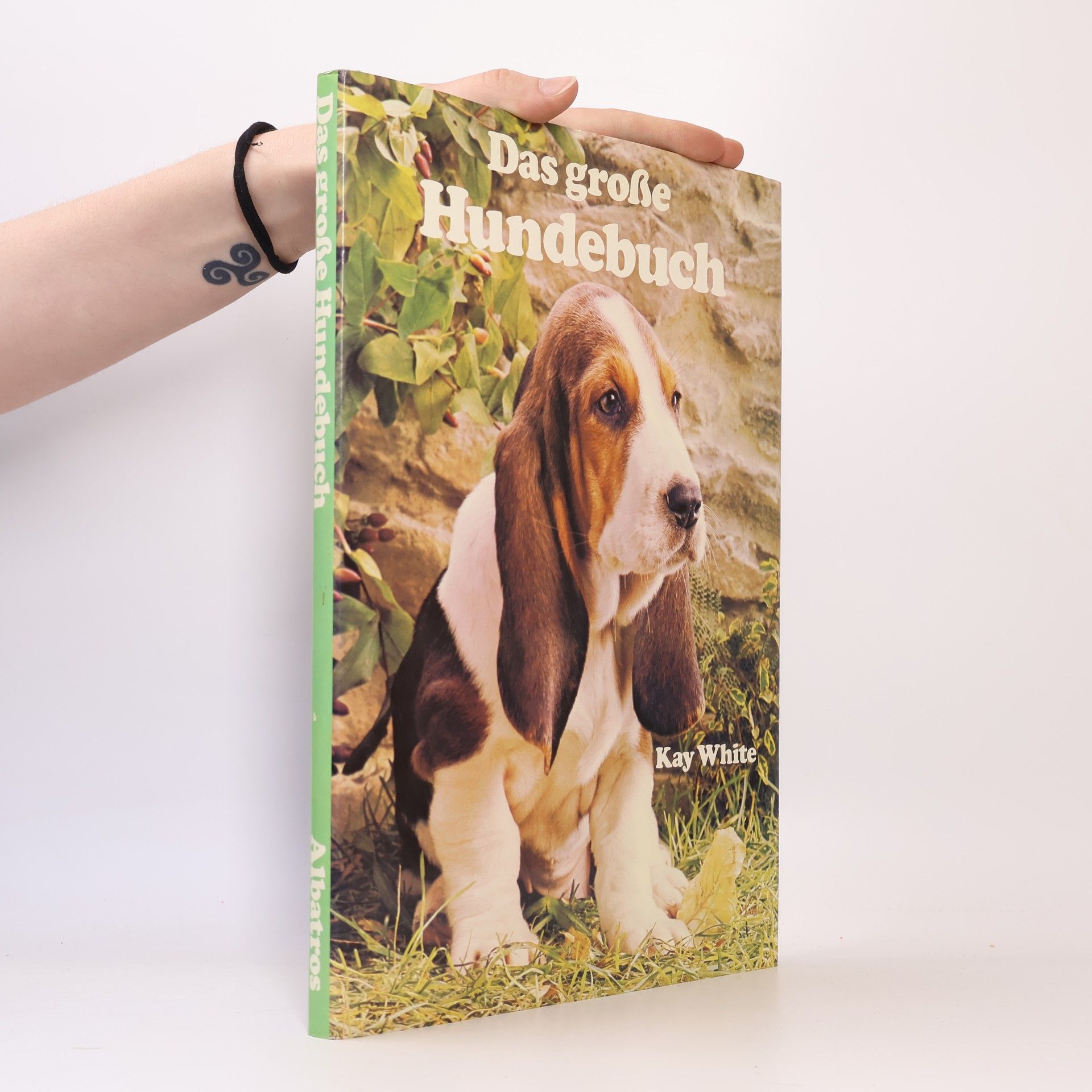 Kay White The Wonderful World of Dogs