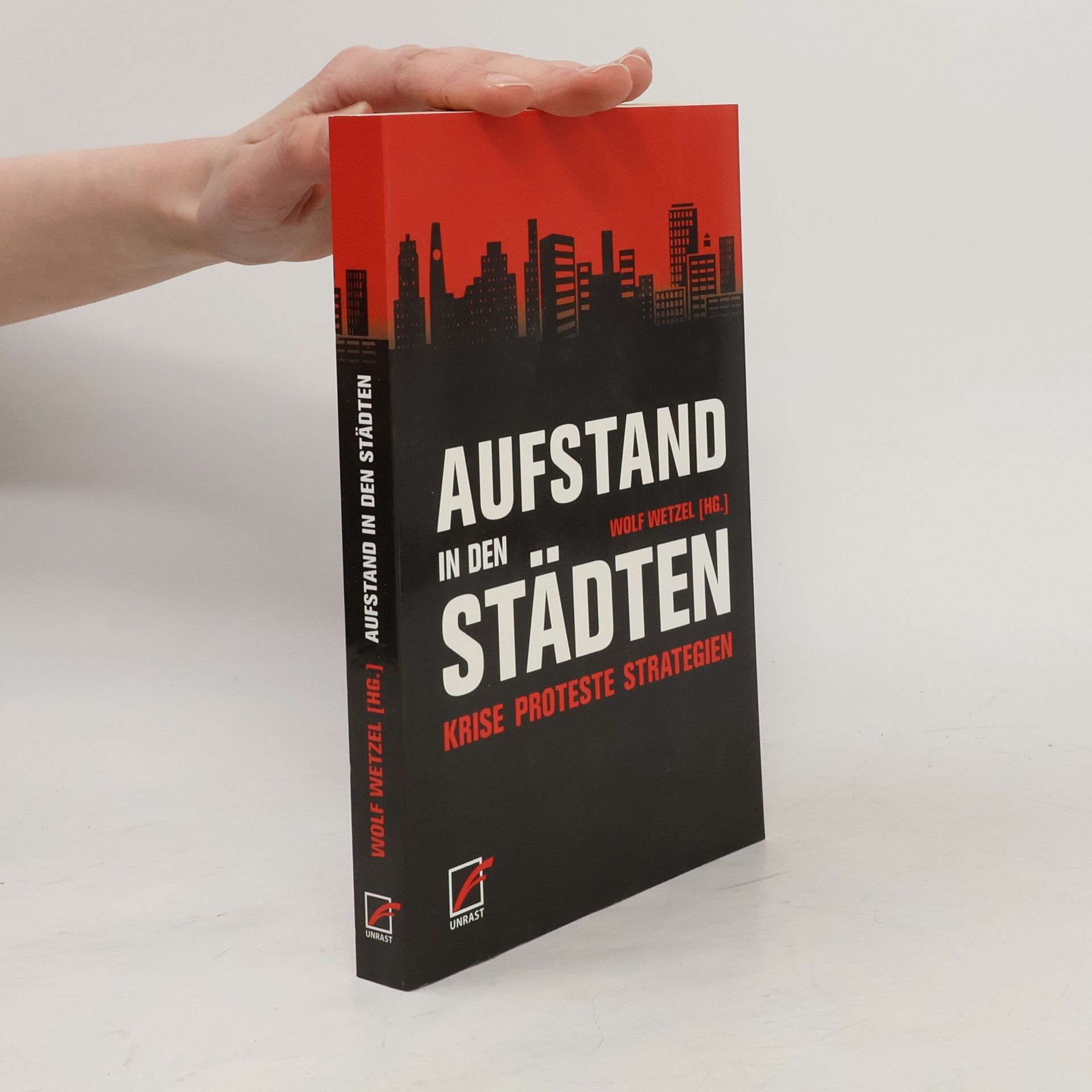 Anja Steidinger Aufstand in den Städten