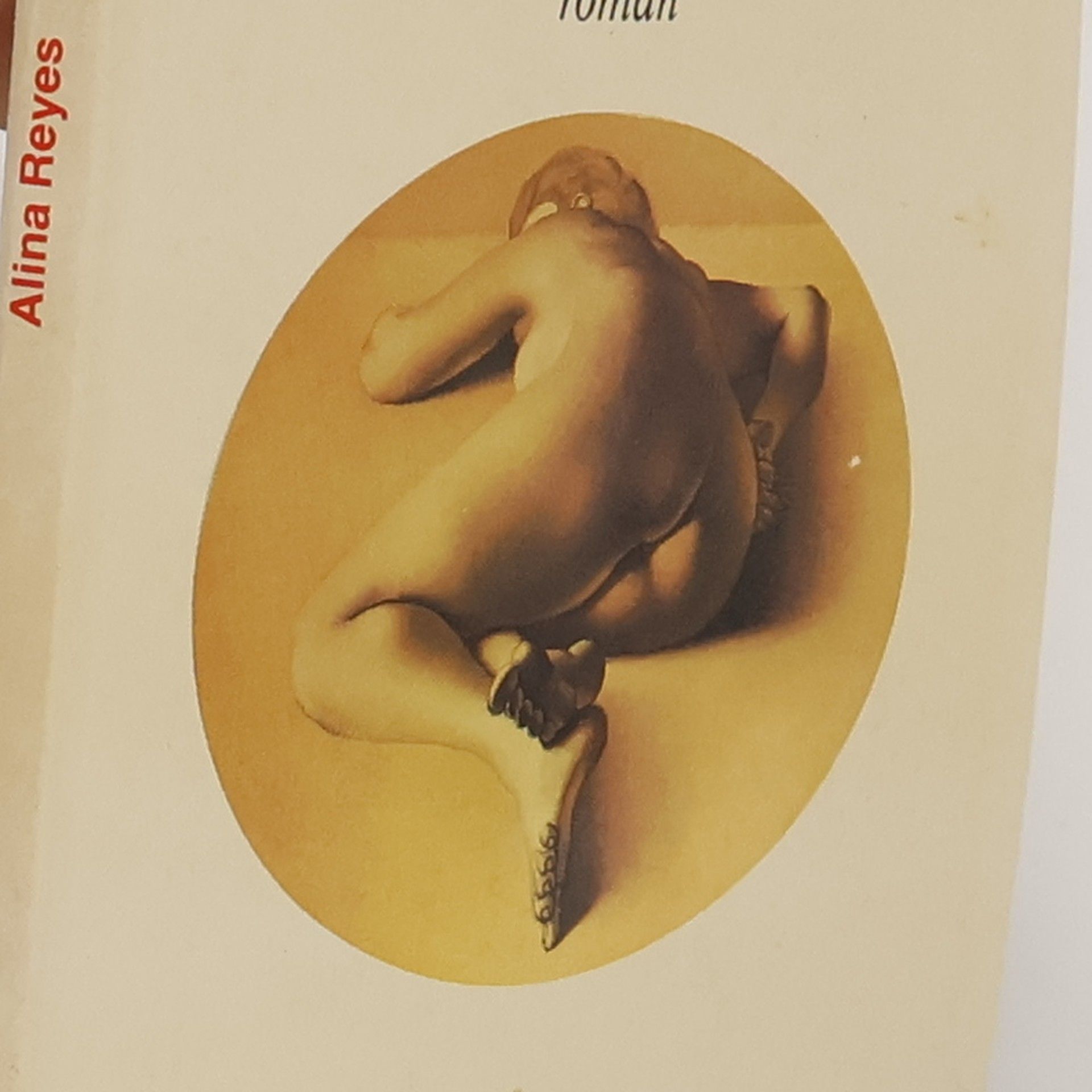 Alina Reyes Le Boucher