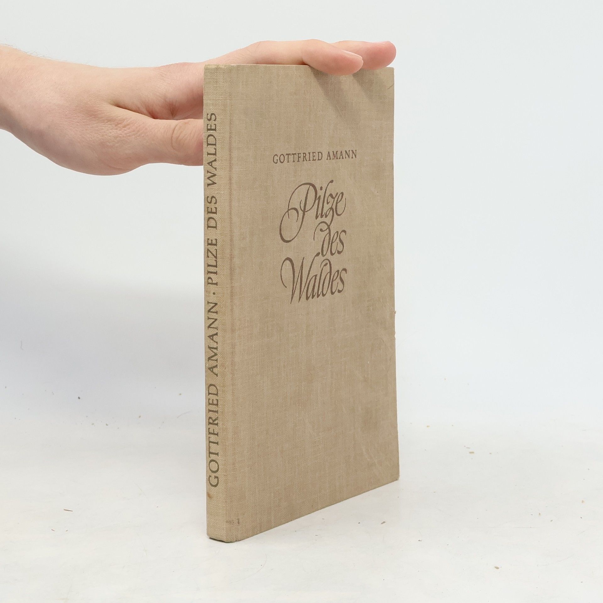 Gottfried Amann Pilze des Waldes