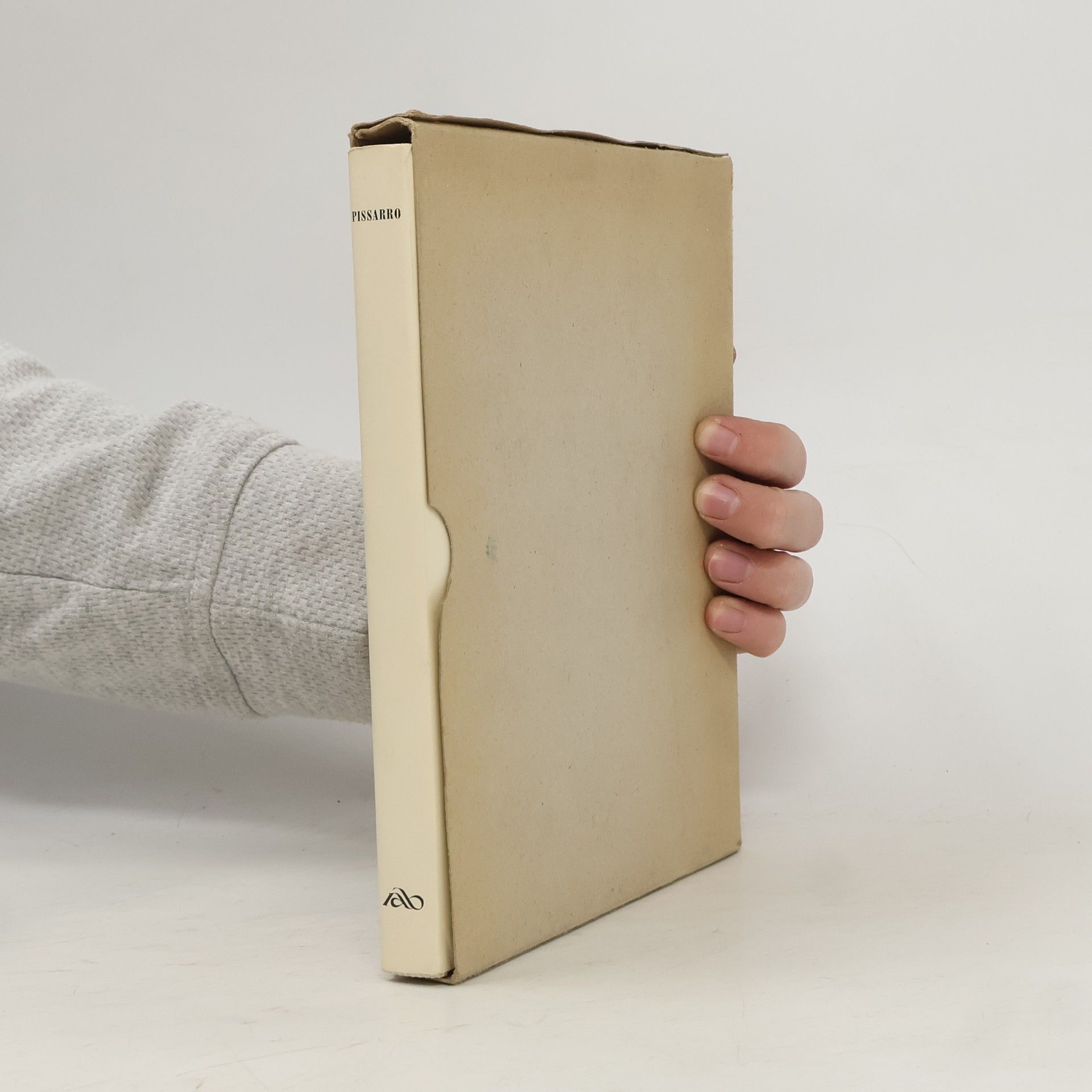 Collectif d'auteurs Pissarro. Villes et campagnes