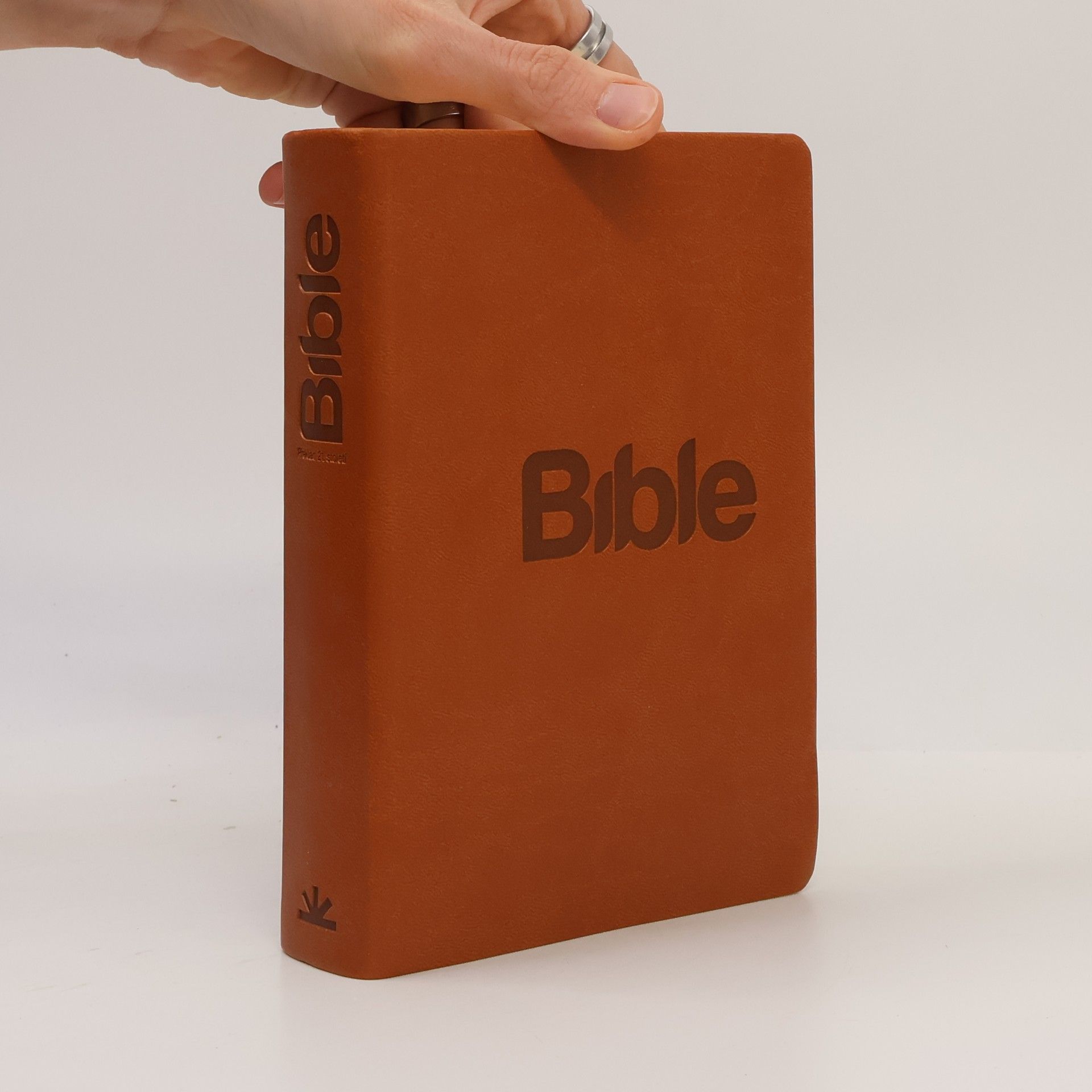 Various authors Bible