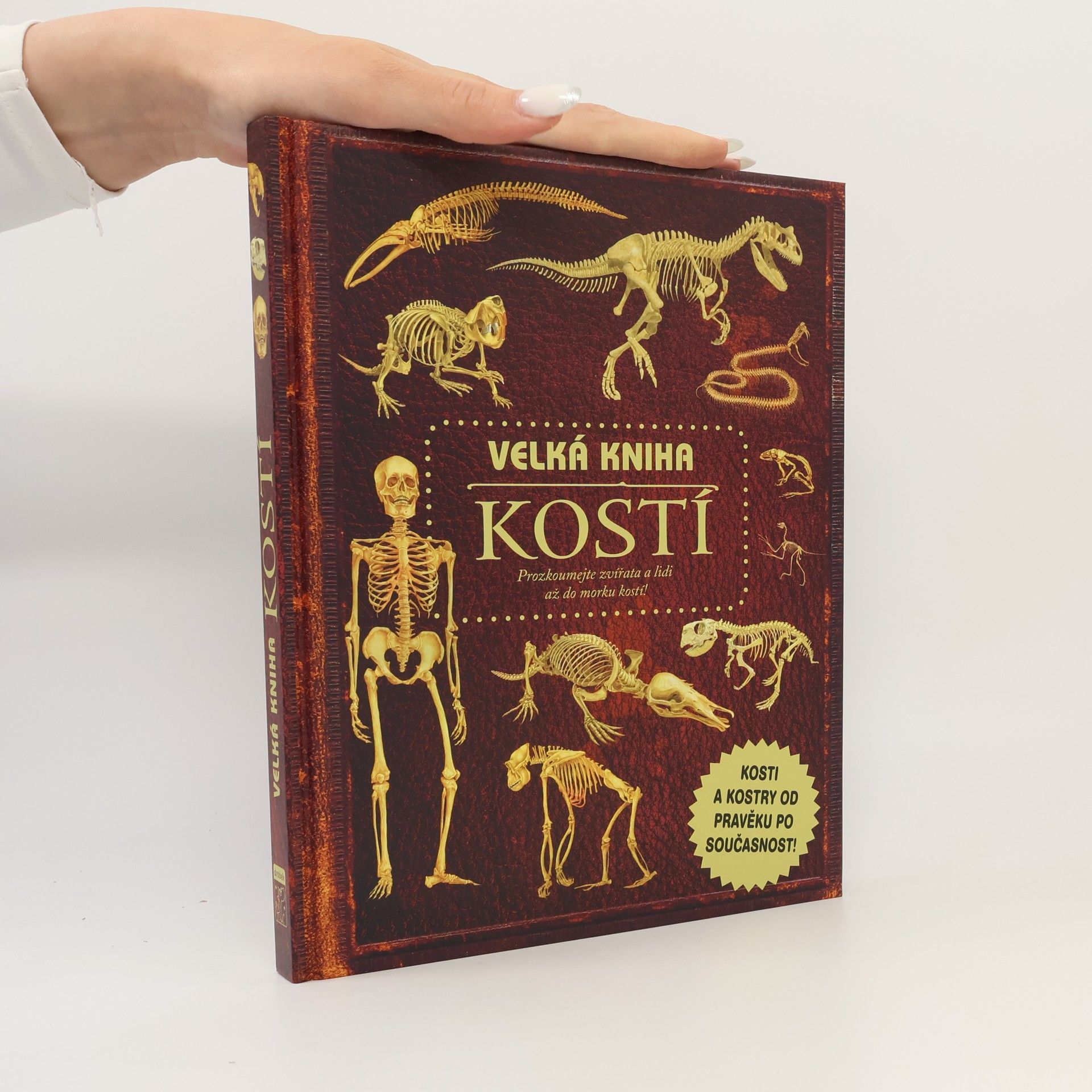 Petr Kotouš Velká kniha kostí