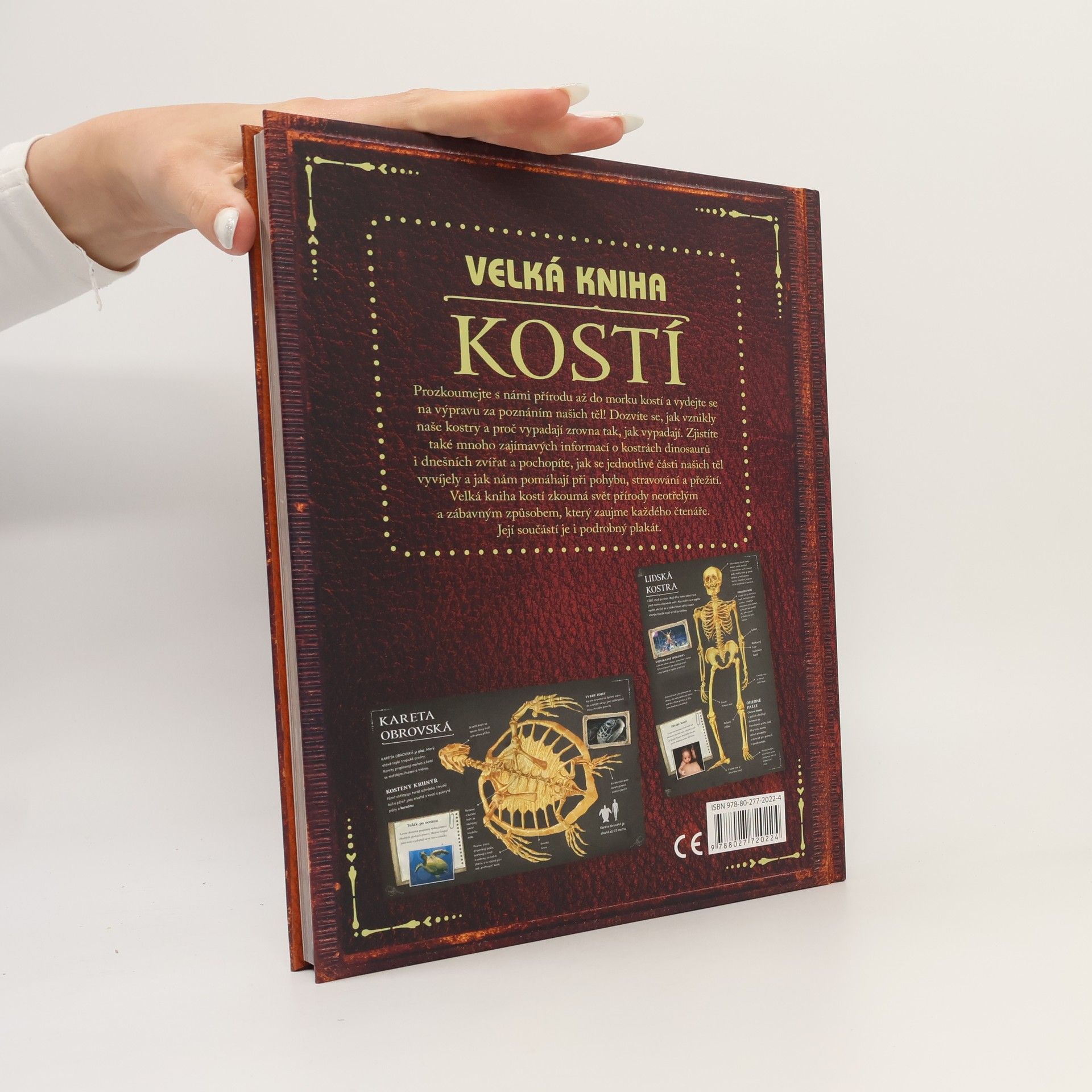 Petr Kotouš Velká kniha kostí