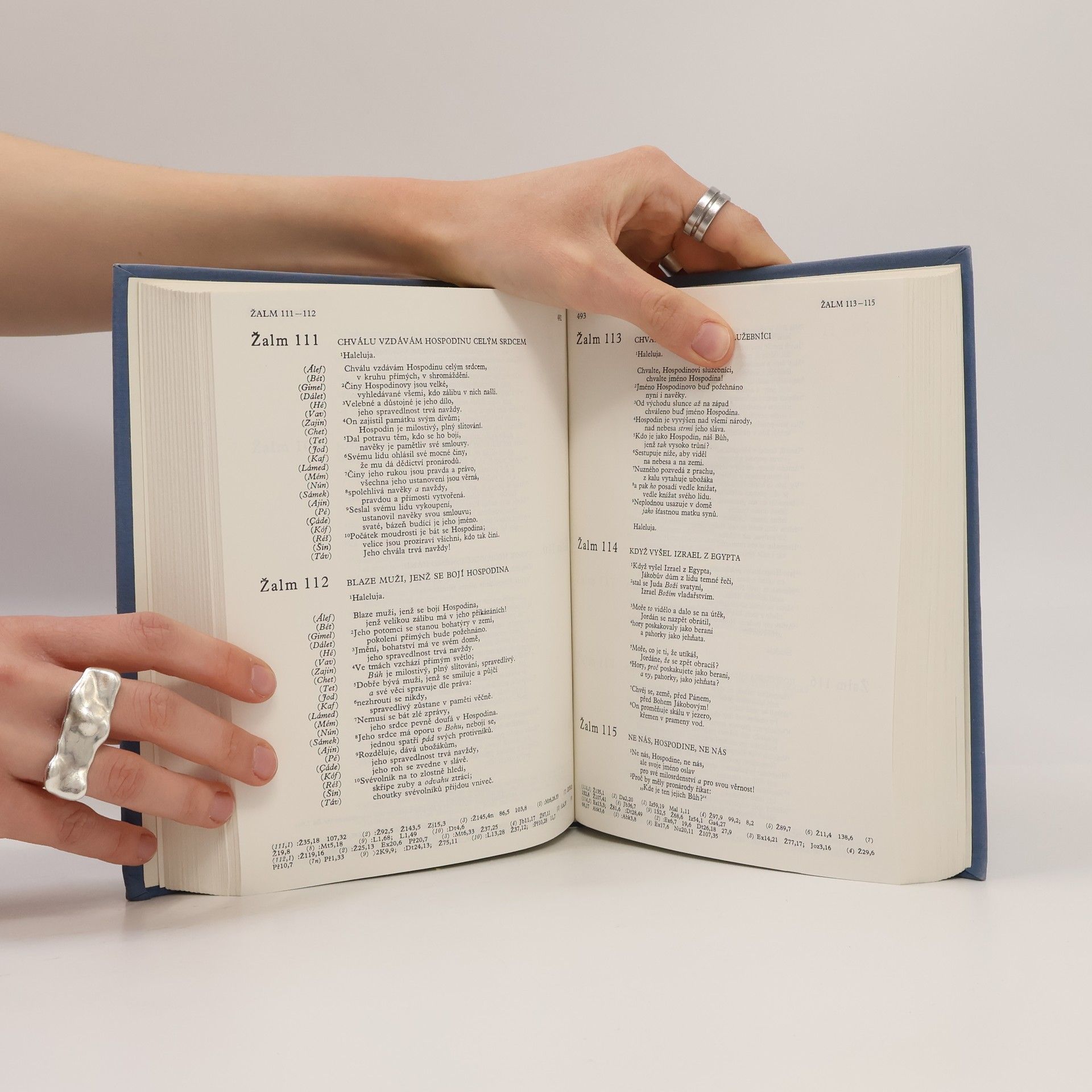 Kolektiv autorů Bible