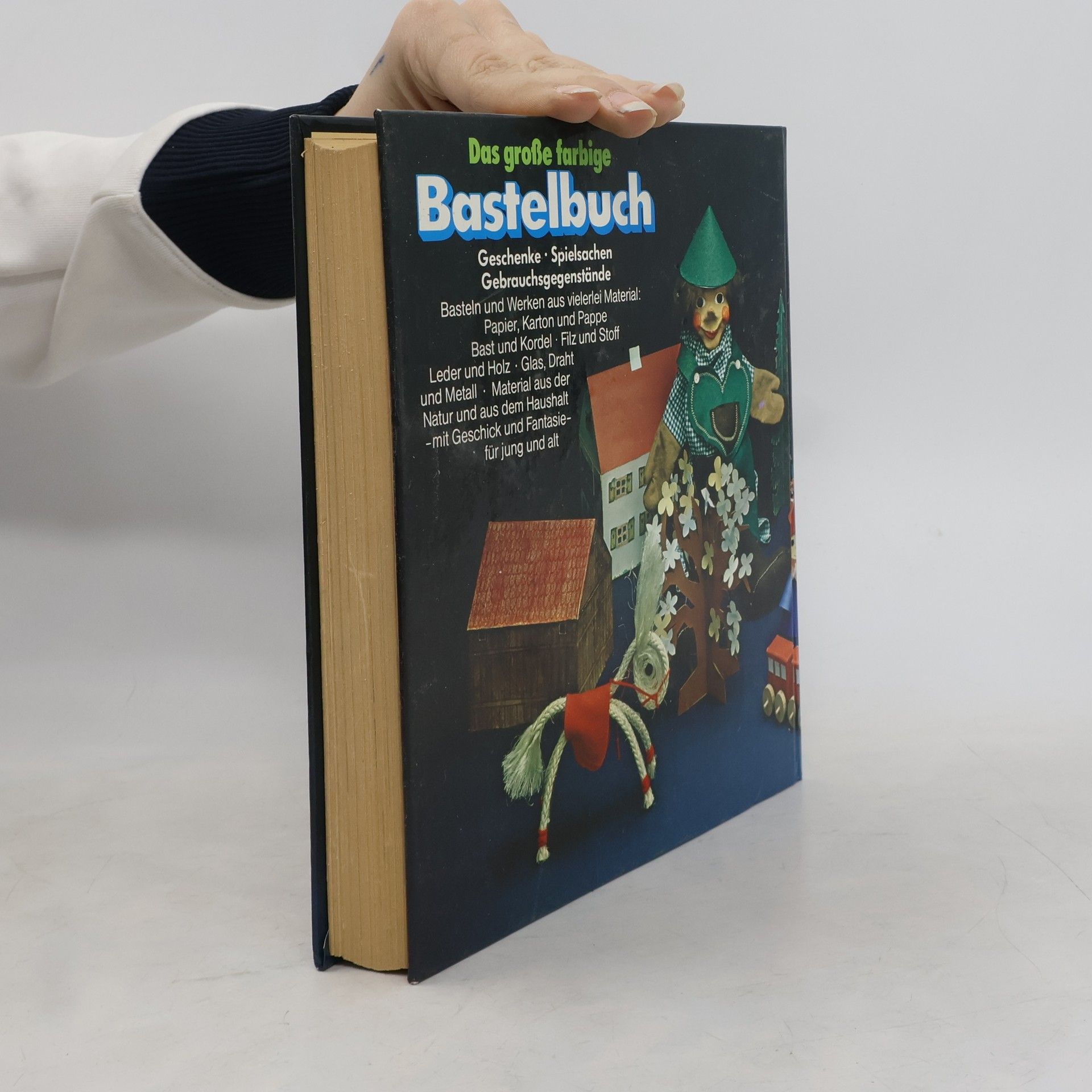 Friederike Baresel Anderle Das grosse farbige Bastelbuch