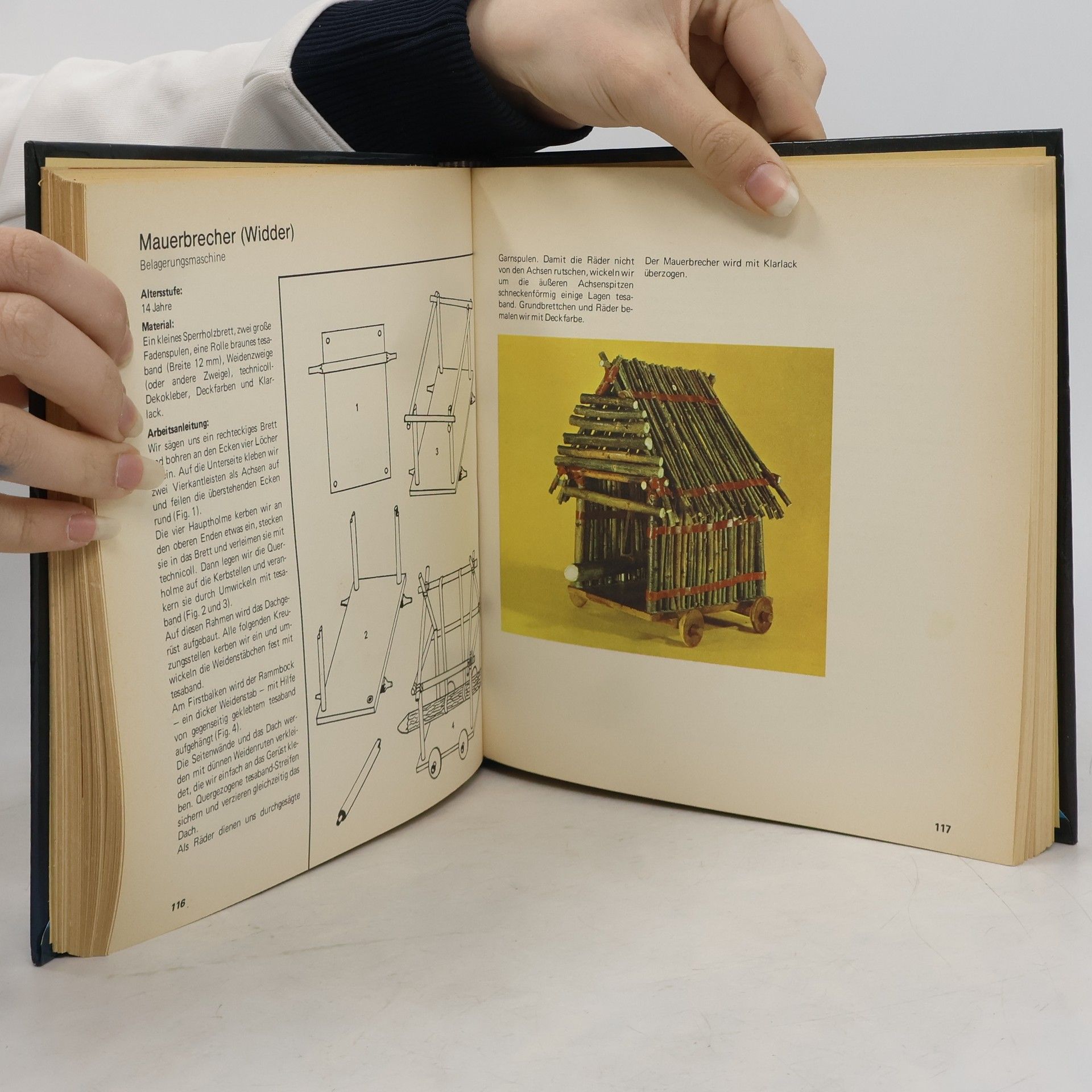 Friederike Baresel Anderle Das grosse farbige Bastelbuch