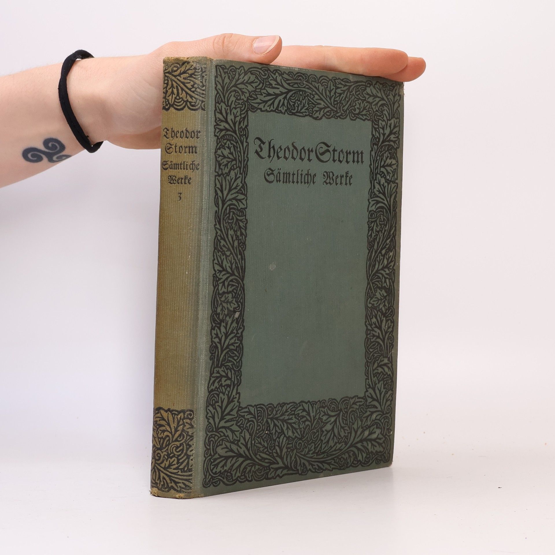 Theodor Storm Sämtliche Werke. Dritter Band