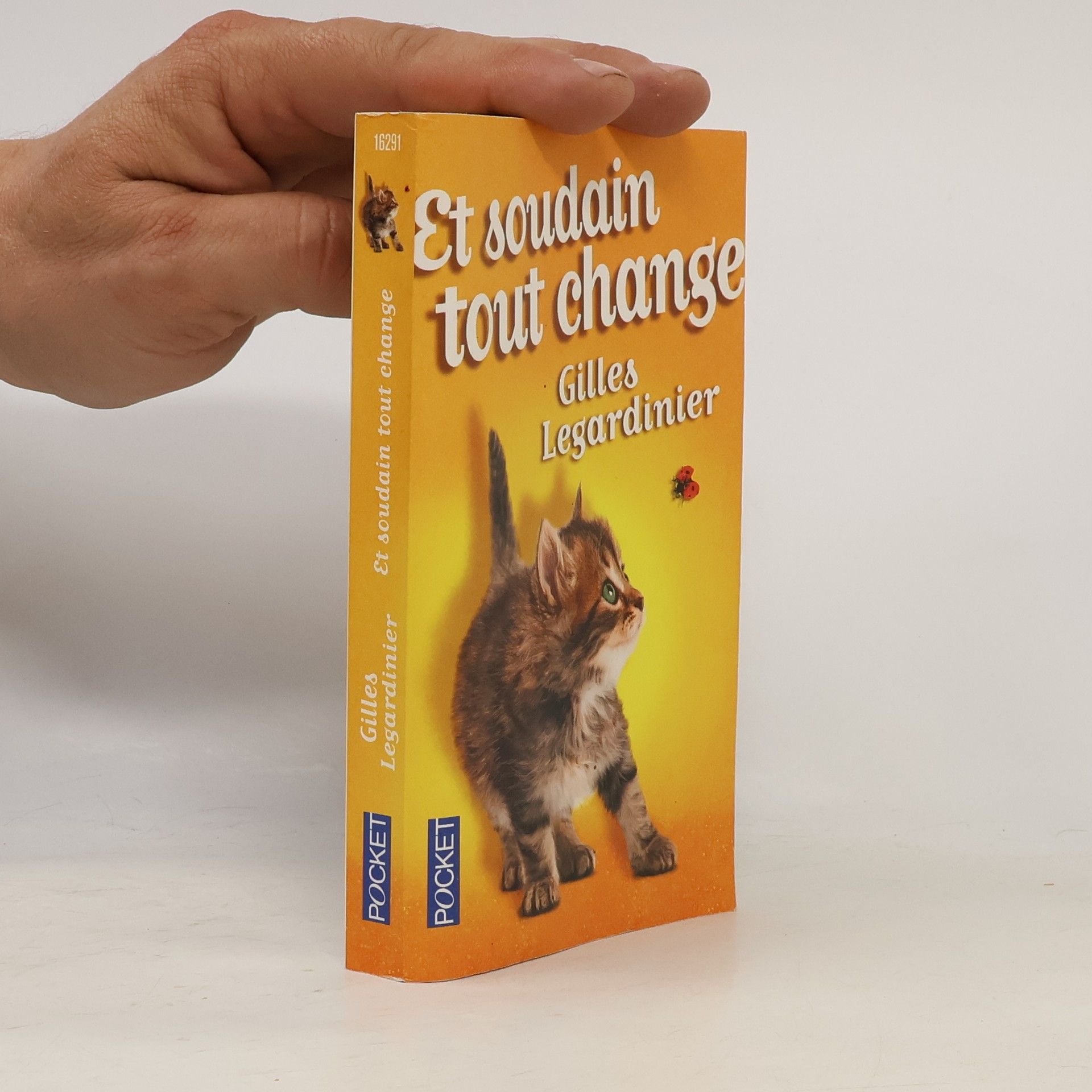 Gilles Legardinier Et soudain, tout change