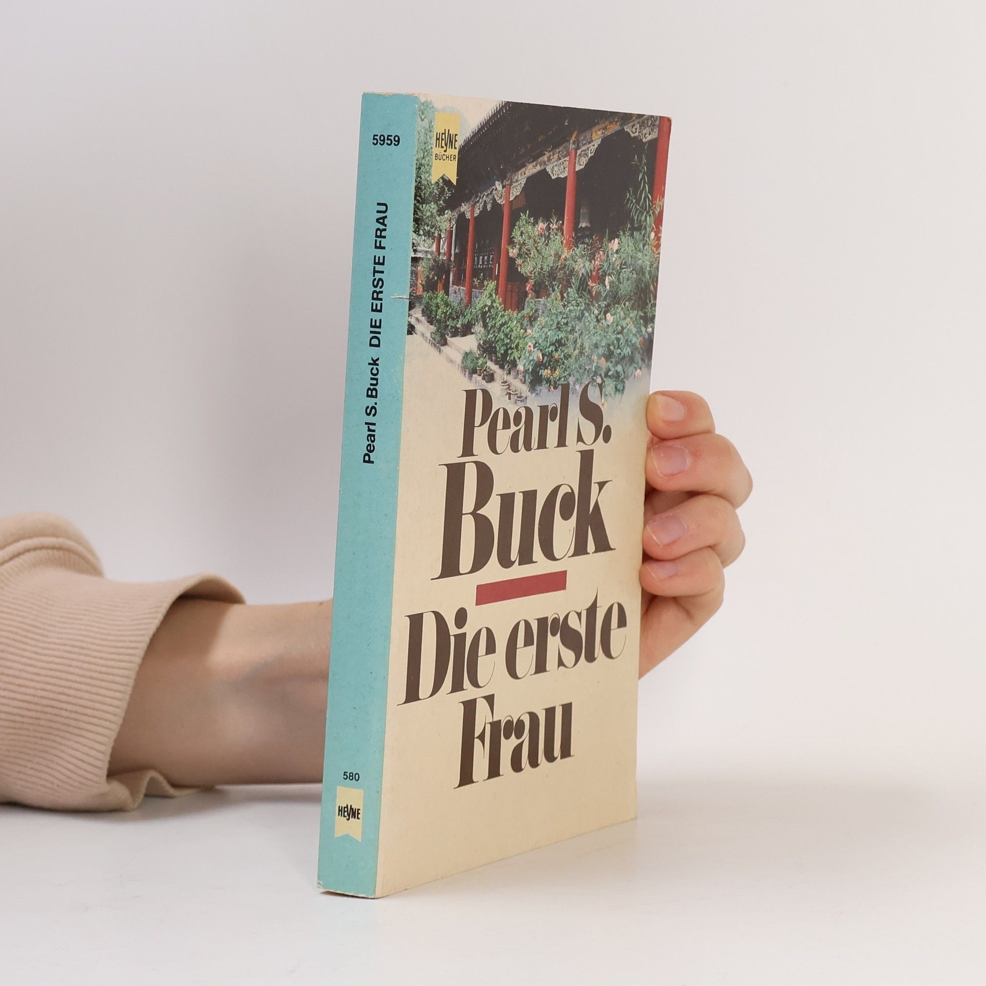 Annie Polzer Heyne Bücher: Die erste Frau und andere Novellen