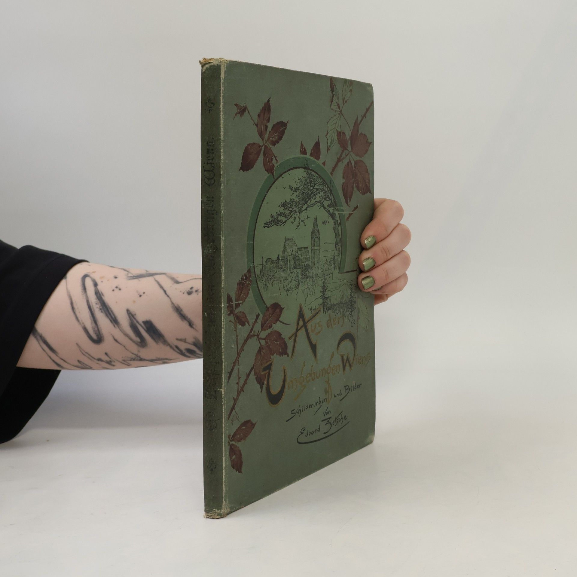 Eduard Zetsche Aus den Umgebungen Wiens