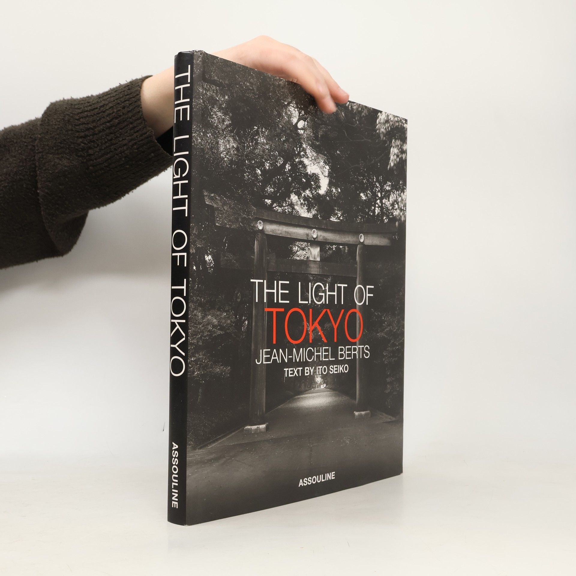 Jean-Michel Berts The Light of Tokyo