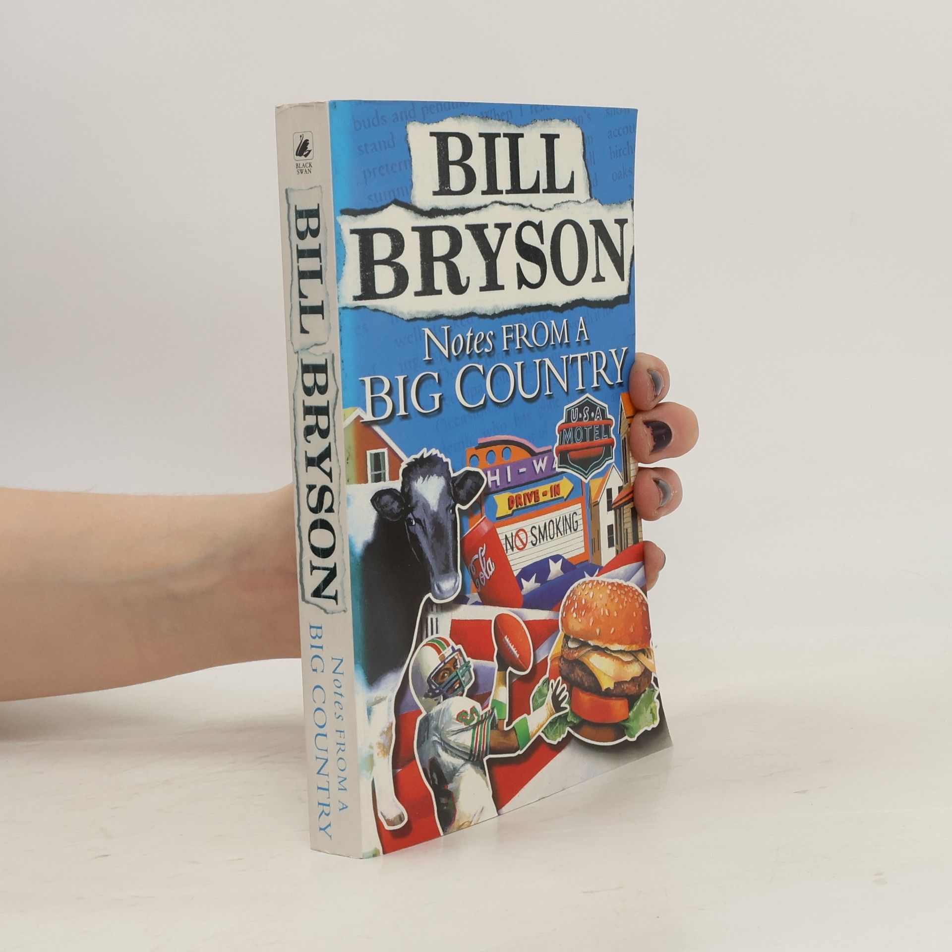 Notes from a big country