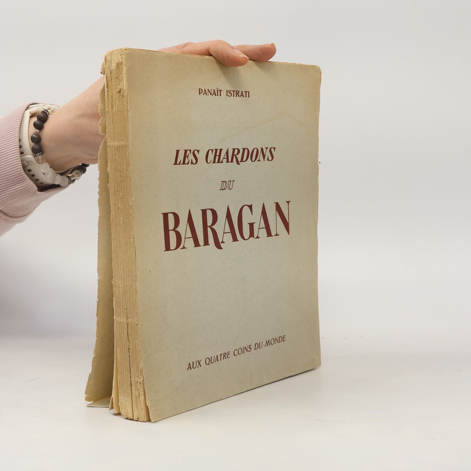 Les Chardons du Baragan