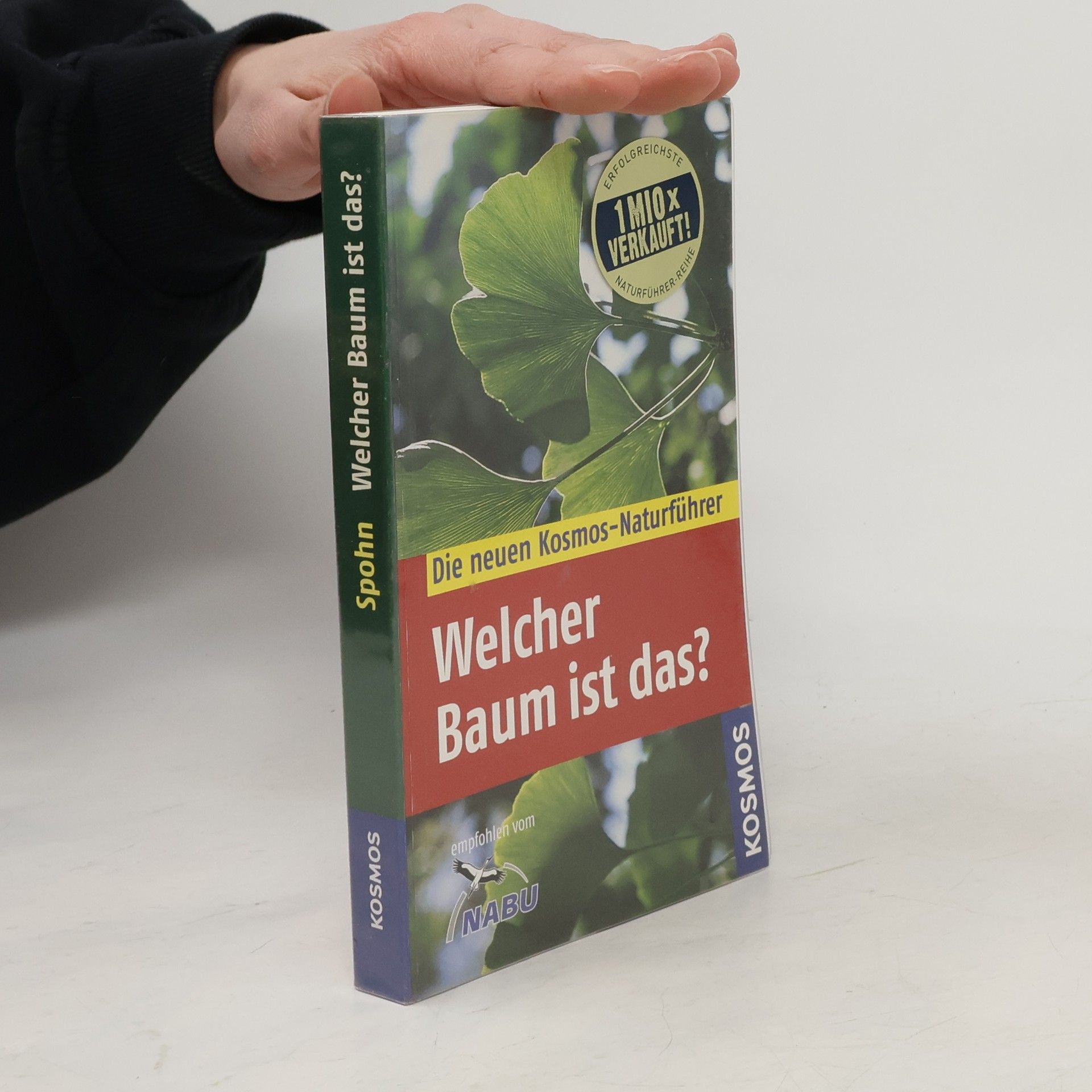 Welcher Baum ist das?