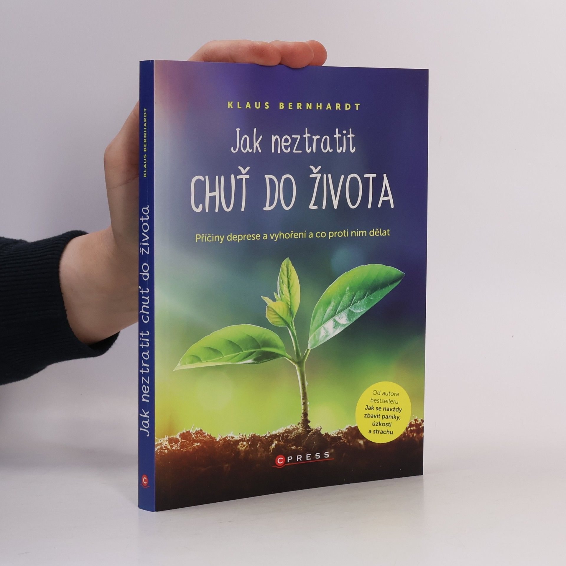 Klaus Bernhardt Jak neztratit chuť do života