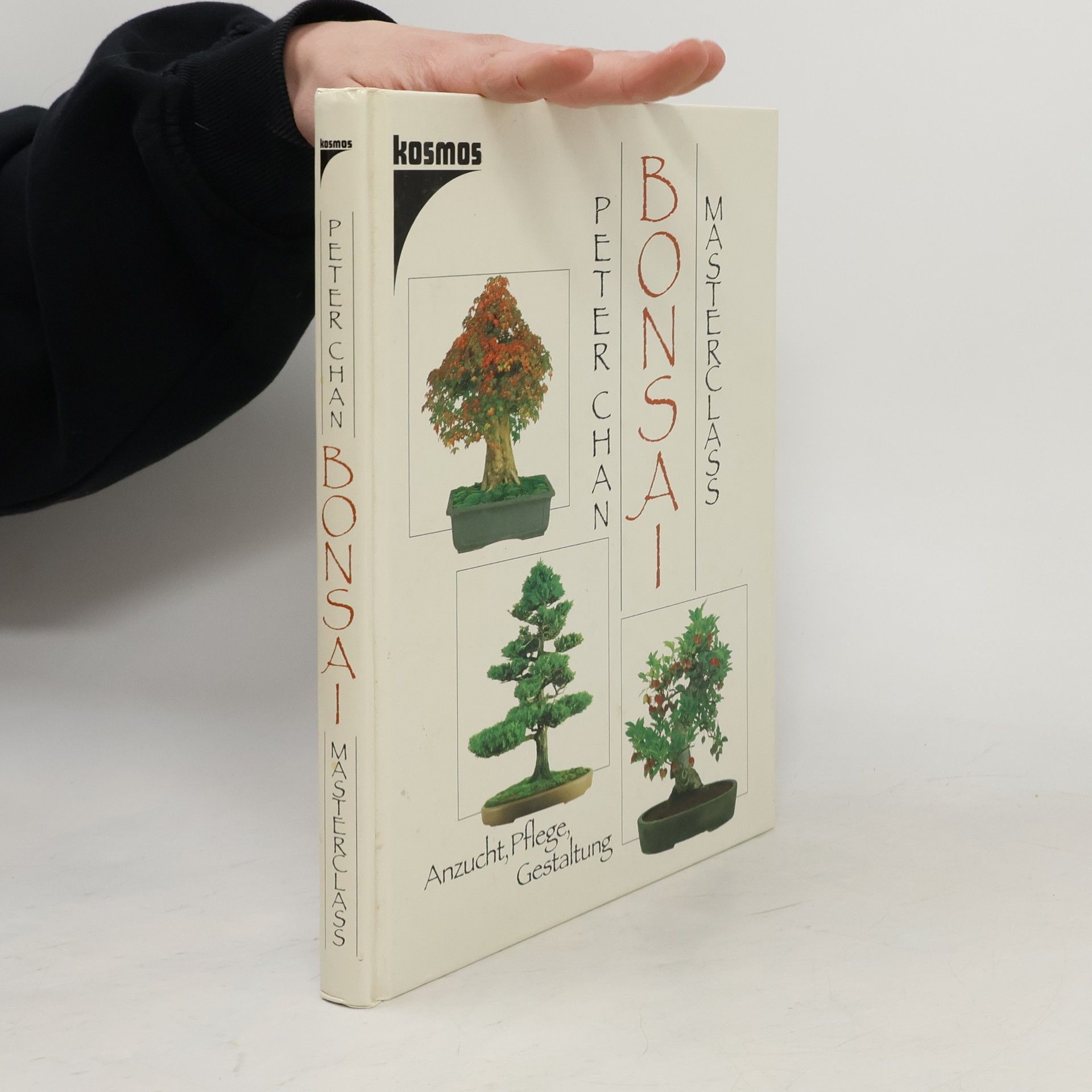 Peter Ho Sun Chan Bonsai masterclass