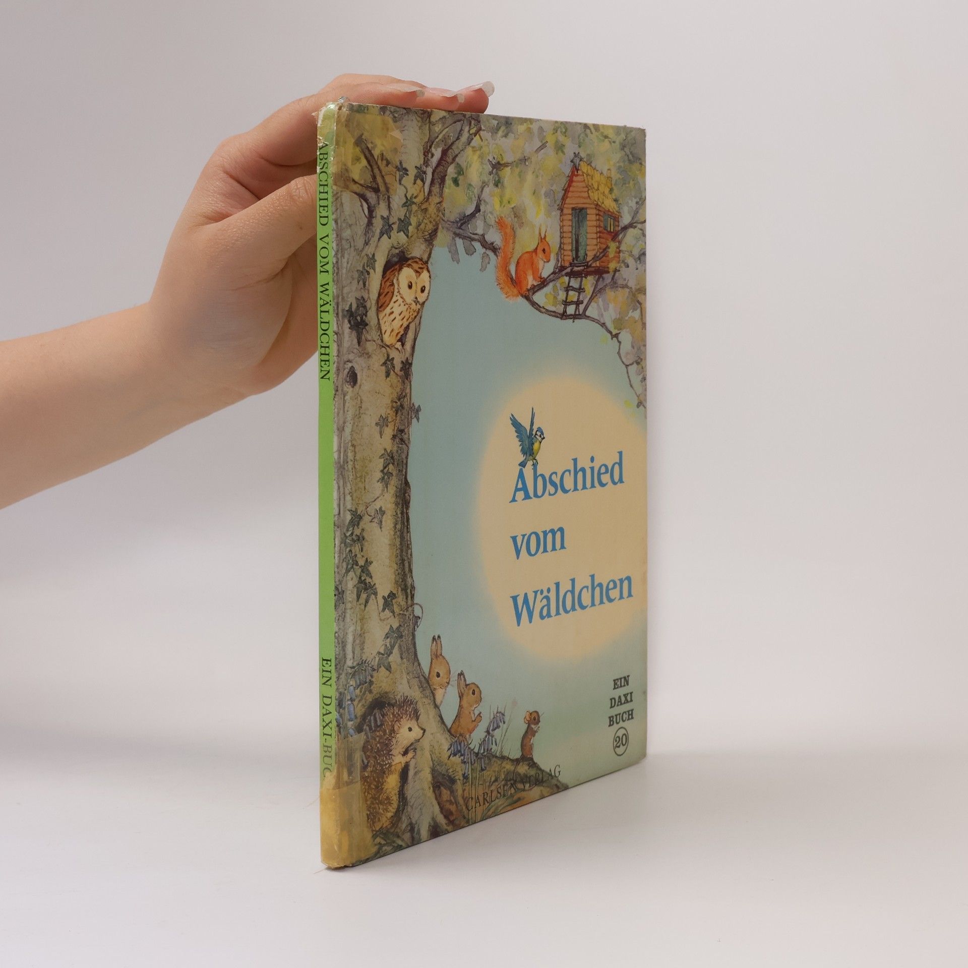 Molly Brett Abschied vom Wäldchen