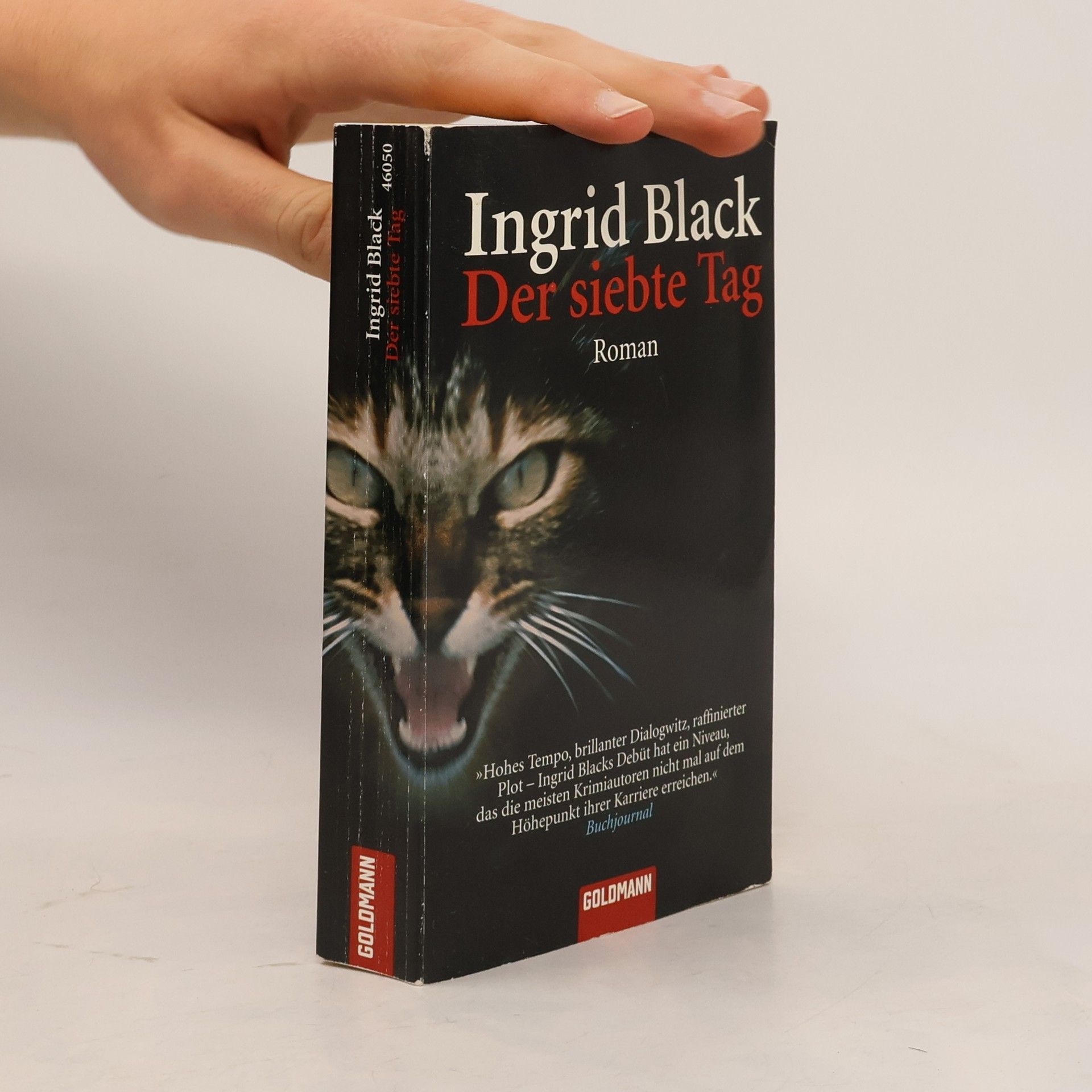 Ingrid Black Der siebte Tag