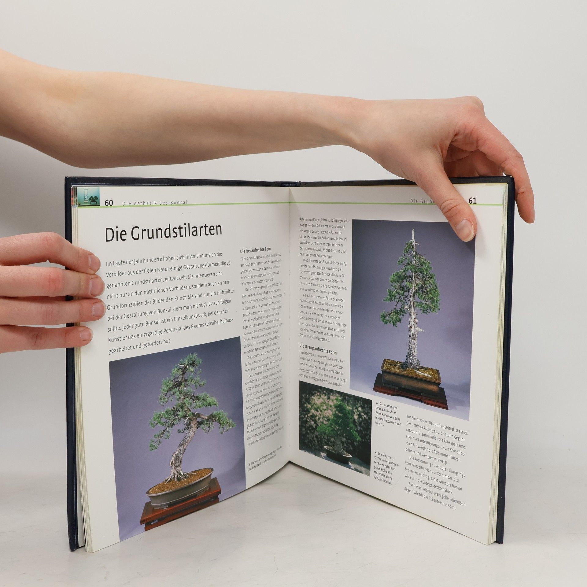 Kolektiv autorů Bonsai