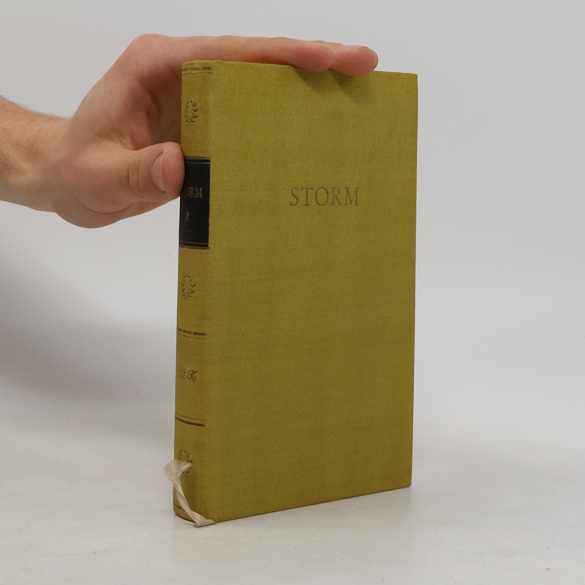 Theodor Storm Storms Werke I.