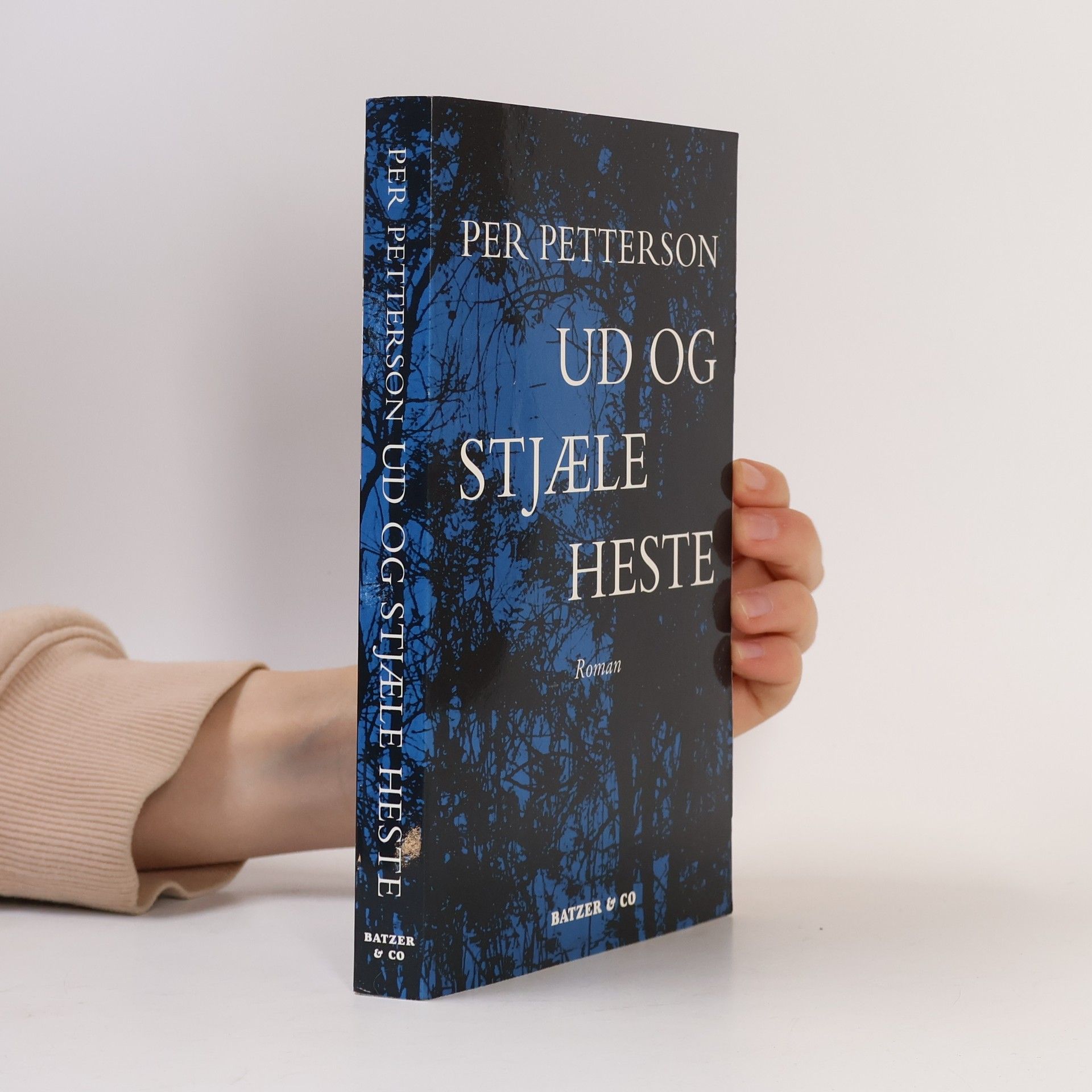 Annelise Ebbe Ud og stjæle heste