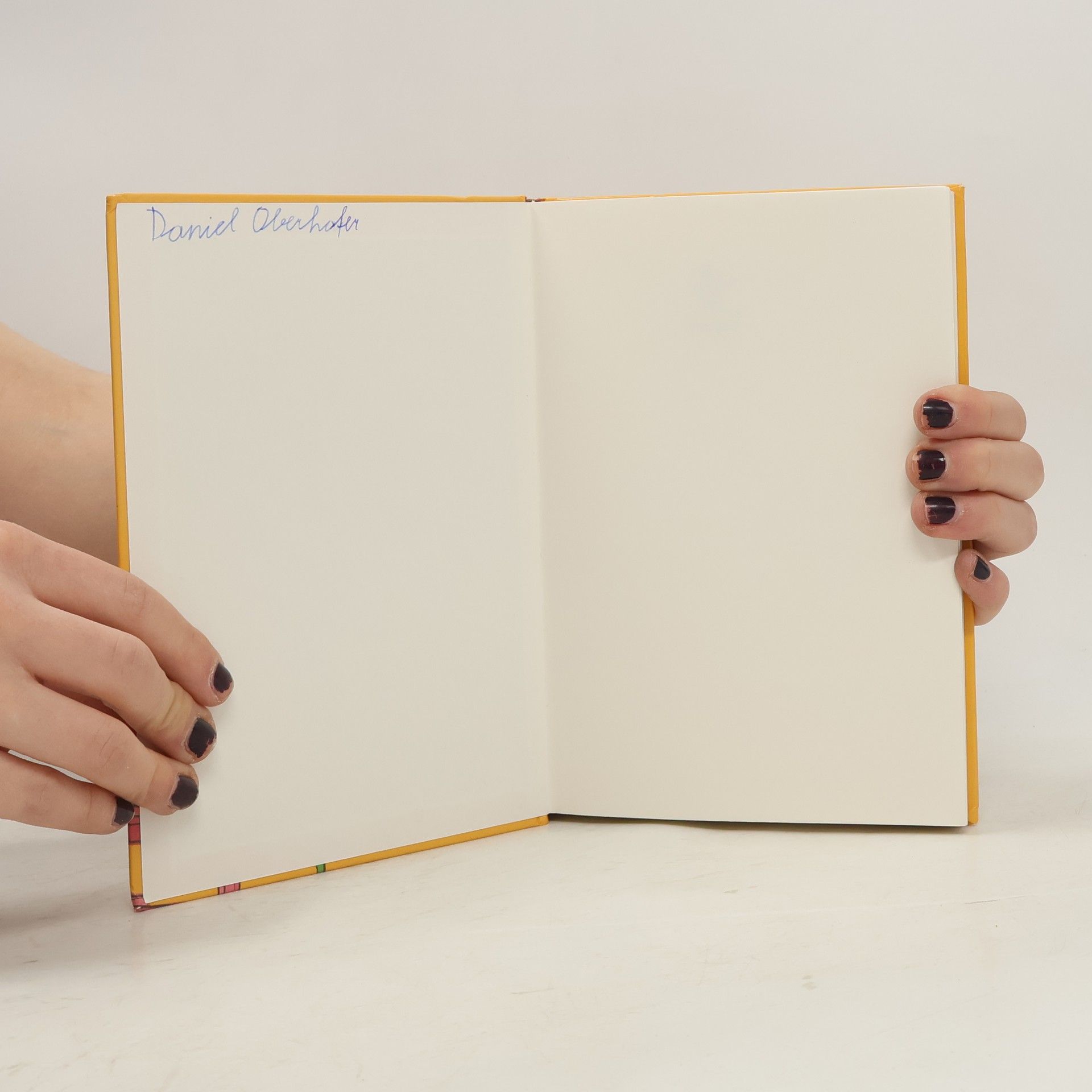 Astrid Lindgren Michel in der Suppenschüssel