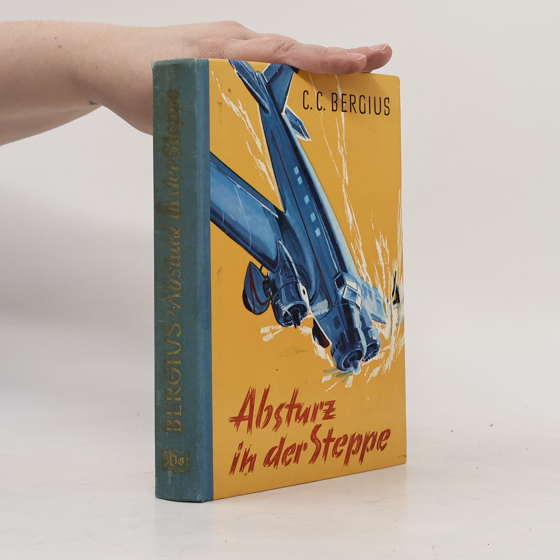 C. C. Bergius Absturz in der Steppe