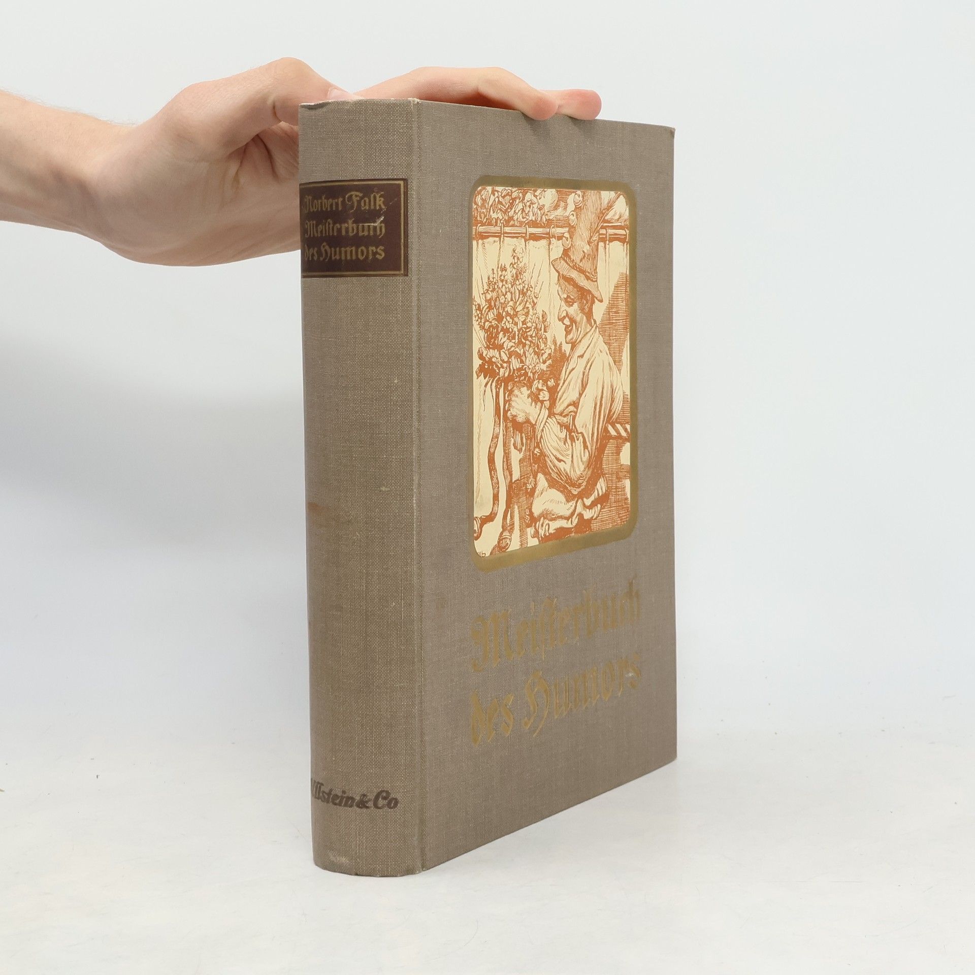 Kolektiv autorů Meisterbuch des Humors