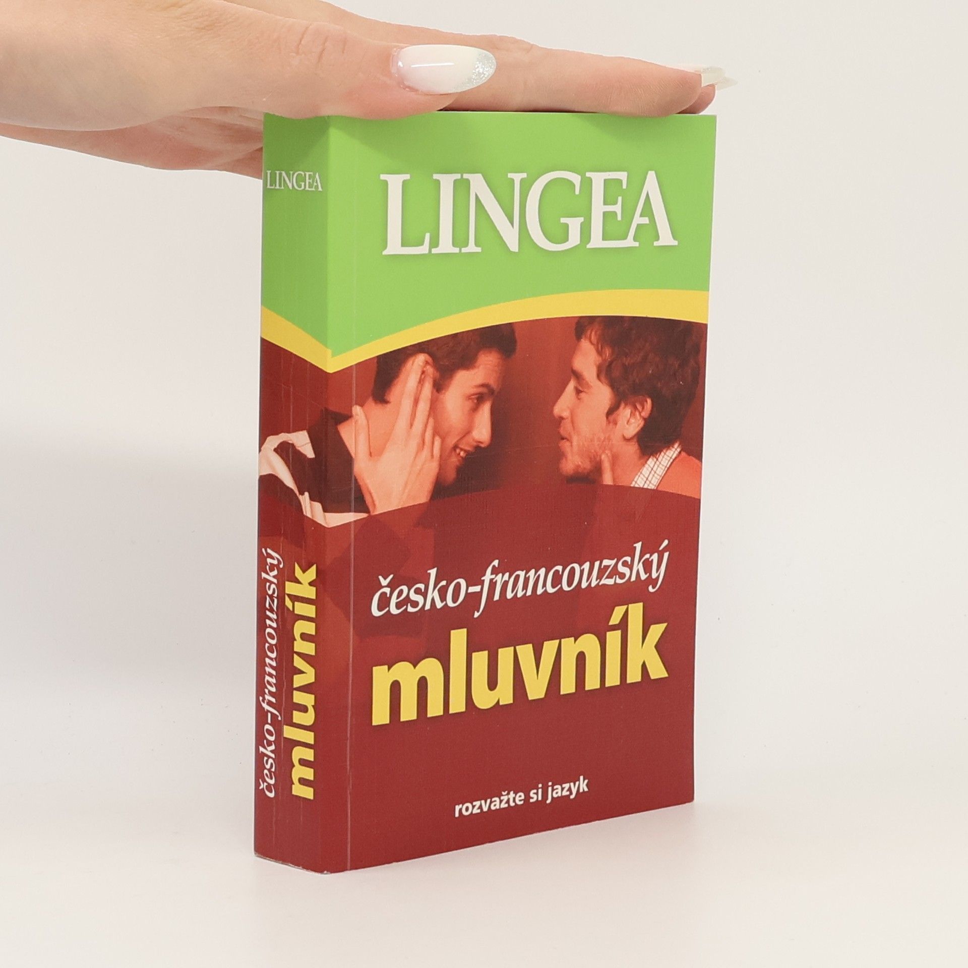 Kolektiv autorů Česko-francouzský mluvník