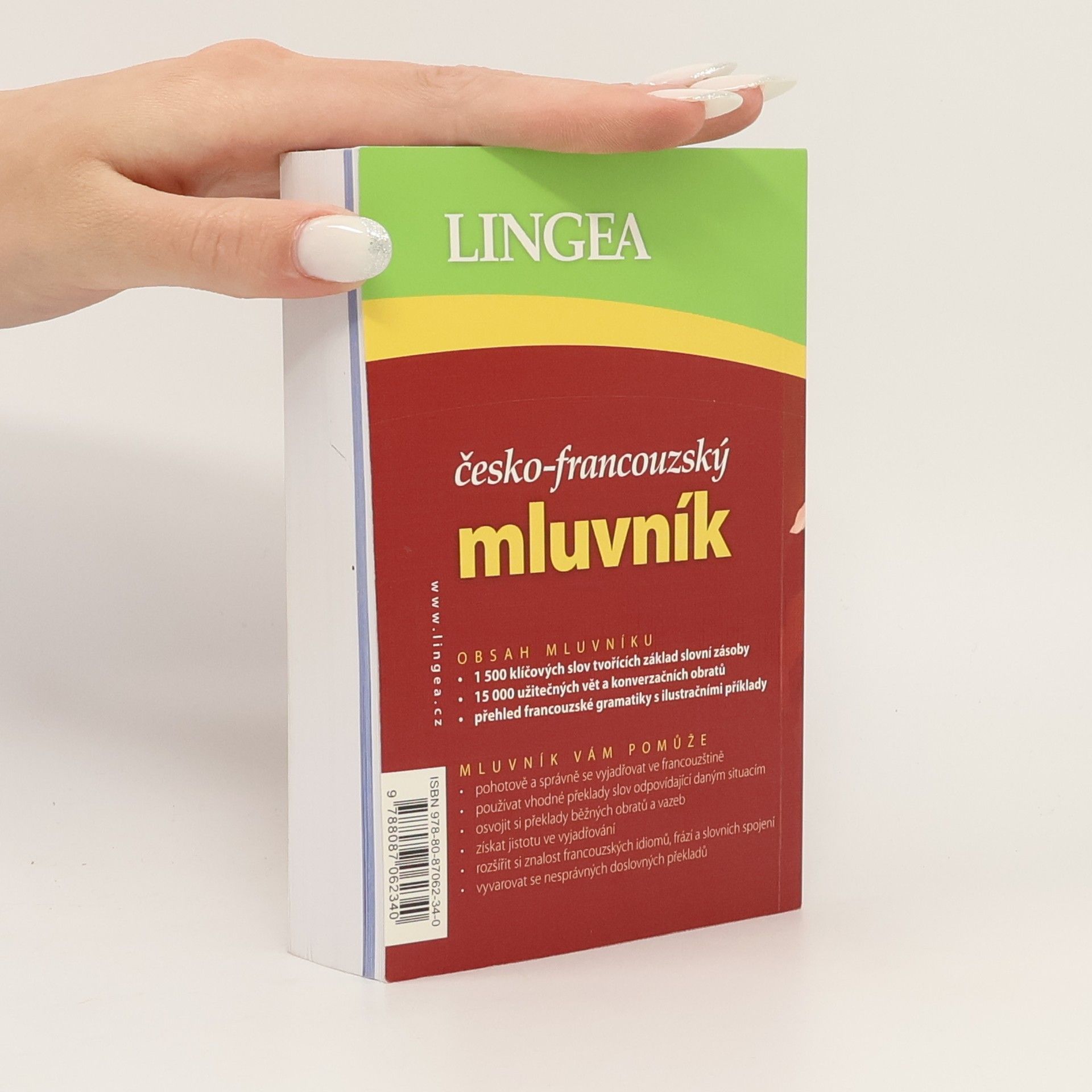 Kolektiv autorů Česko-francouzský mluvník