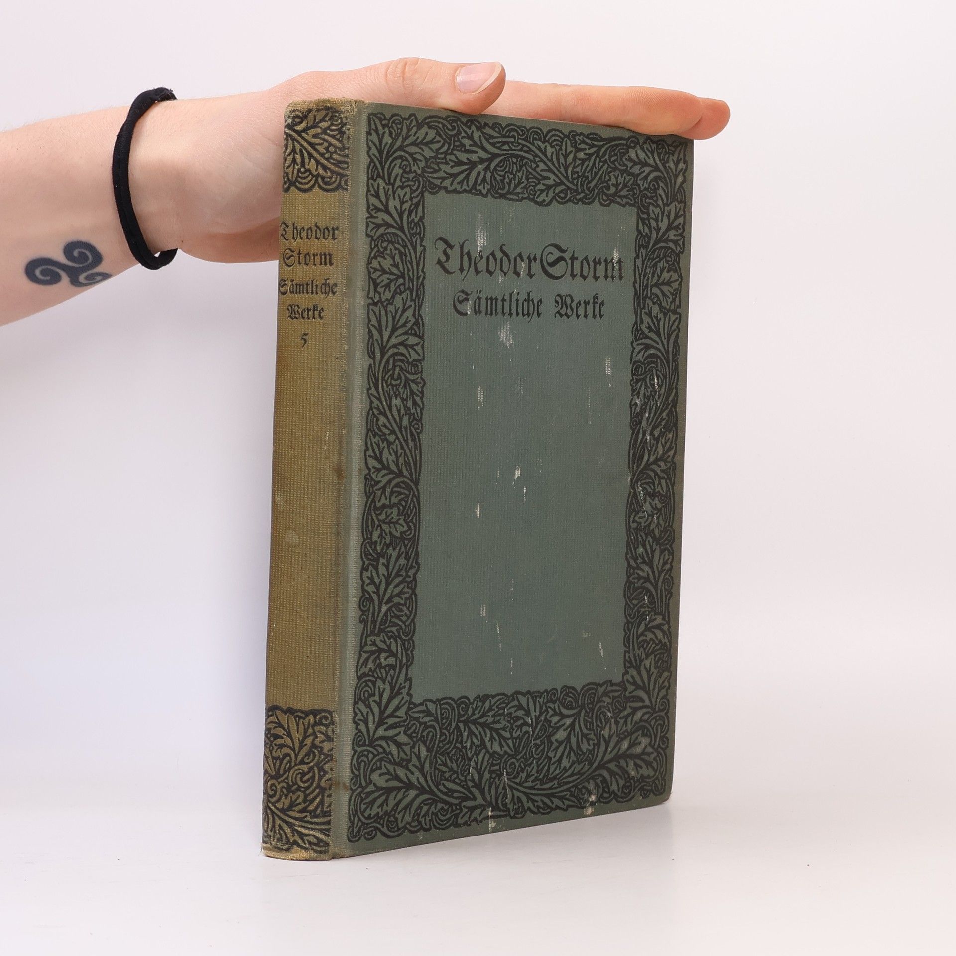 Theodor Storm Sämtliche Werke. Fünfter Band