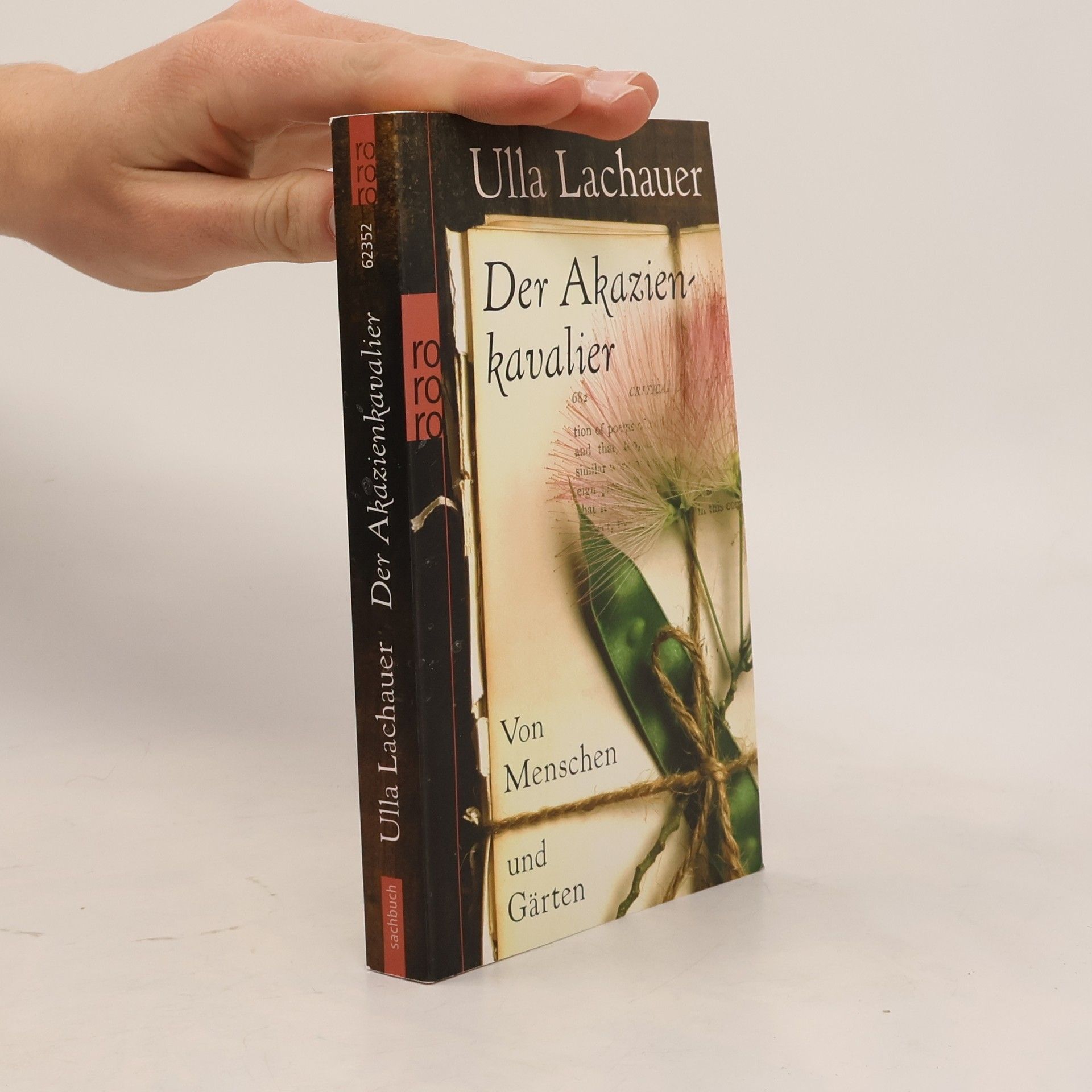Ulla Lachauer Der Akazienkavalier