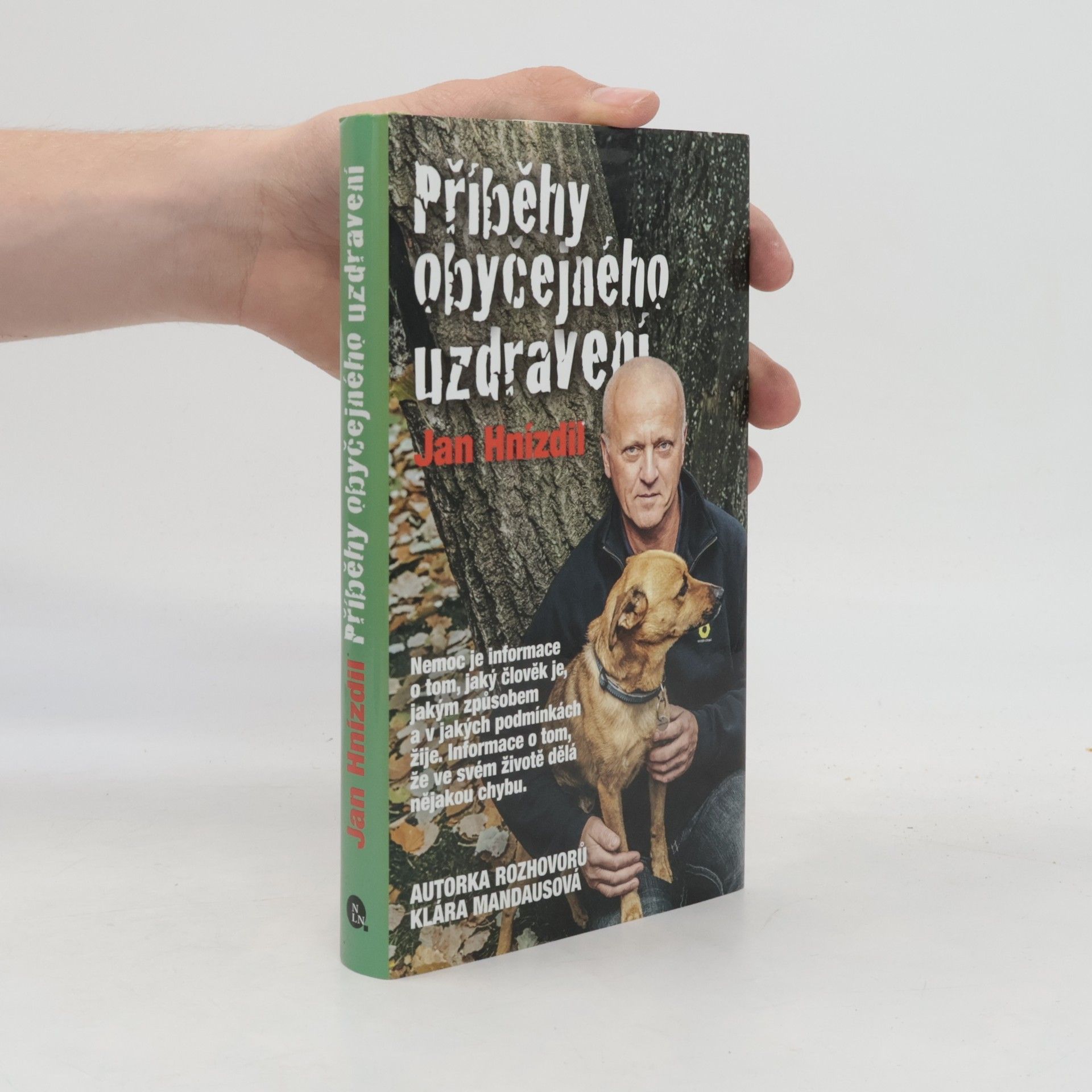 Příběhy obyčejného uzdravení