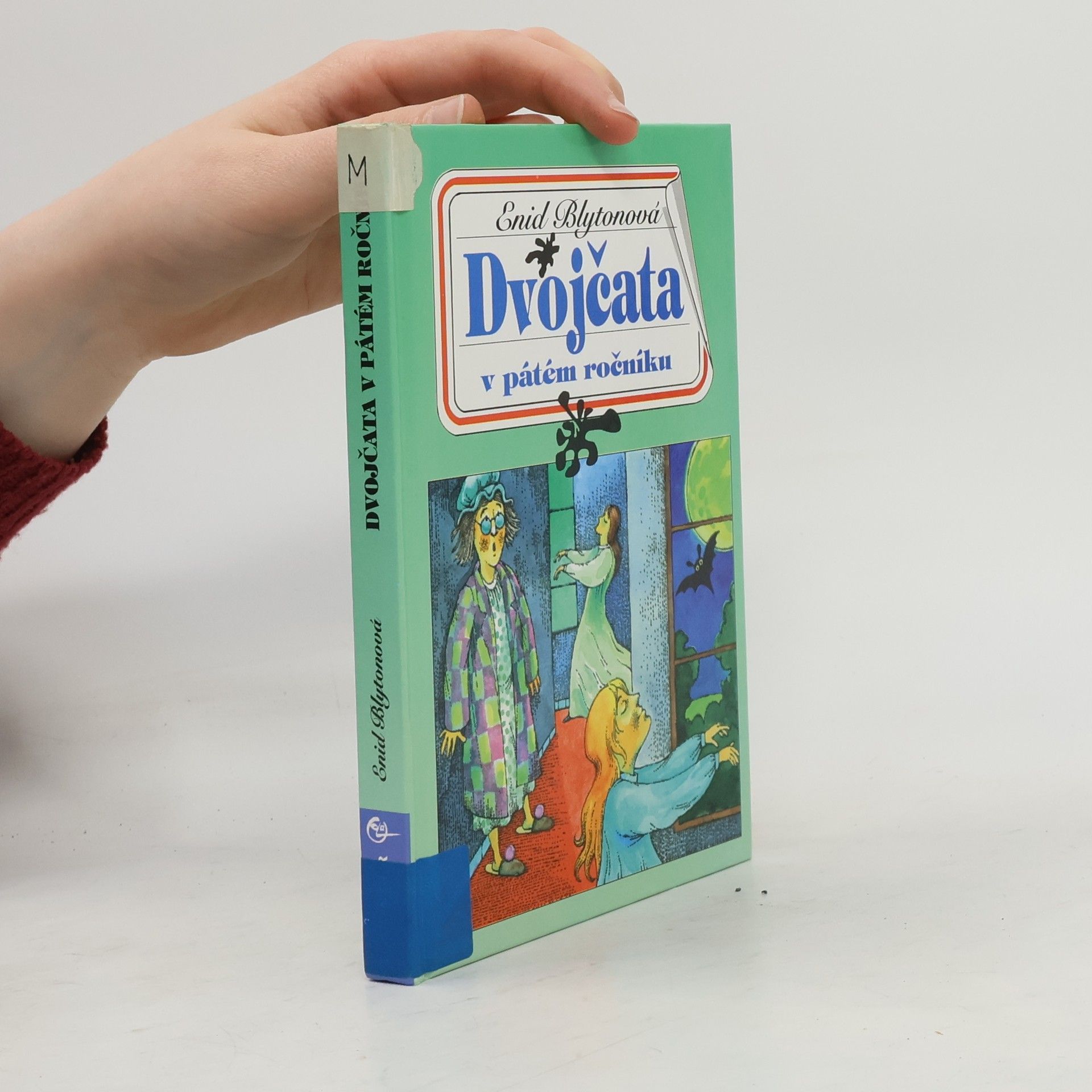 Enid Blyton Dvojčata v pátém ročníku