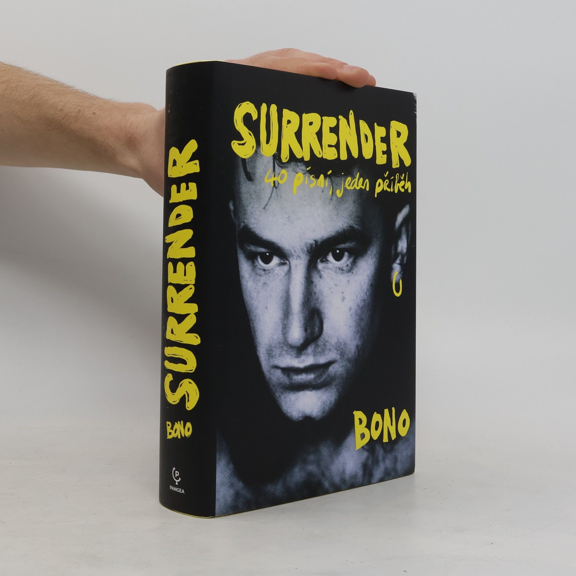 Bono Surrender : 40 písní, jeden příběh