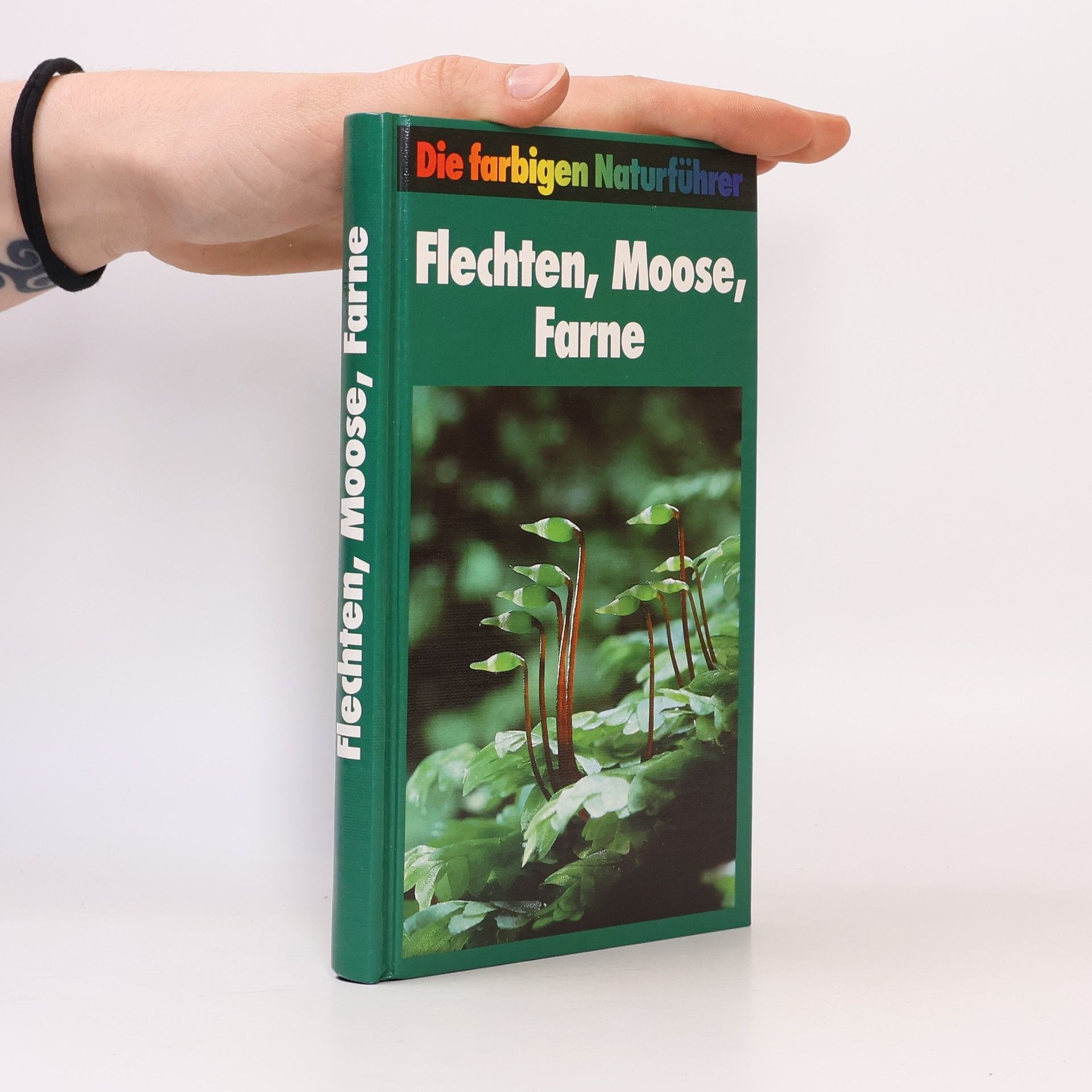 Kolektiv autorů Flechten, Moose, Farne