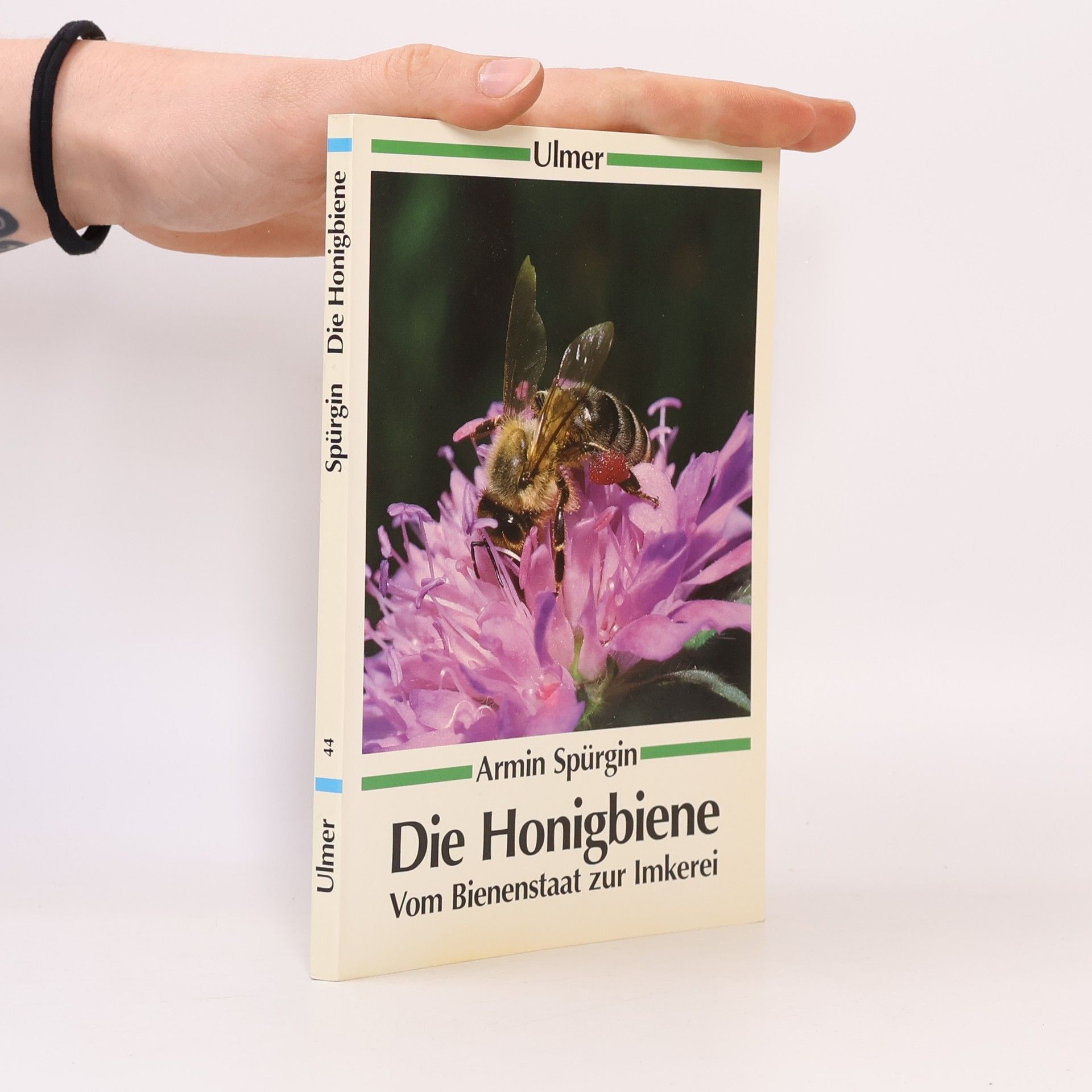Armin Spürgin Die Honigbiene