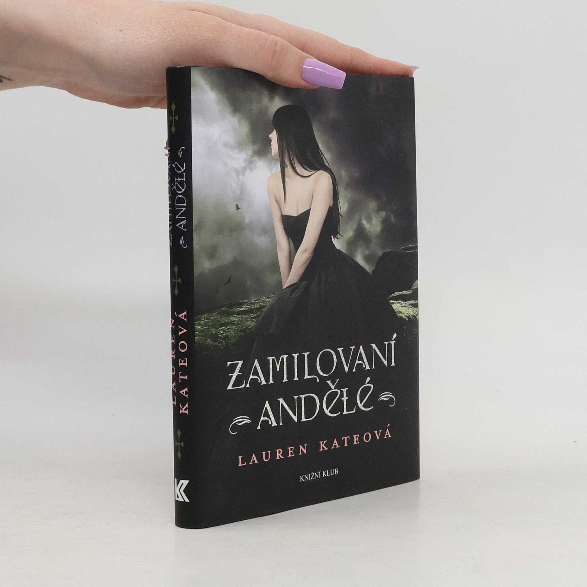 Lauren Kate Zamilovaní andělé