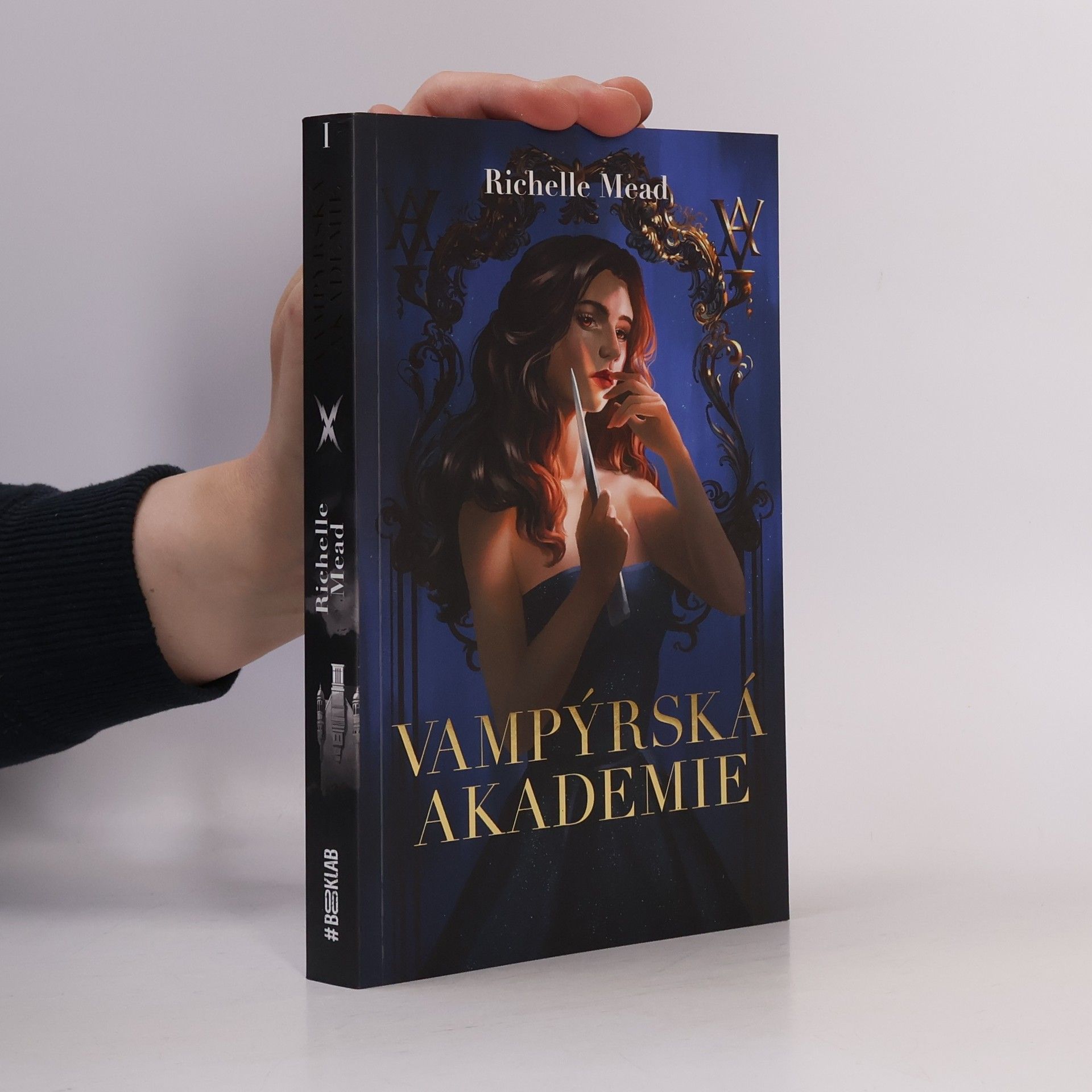 Richelle Mead Vampýrská akademie