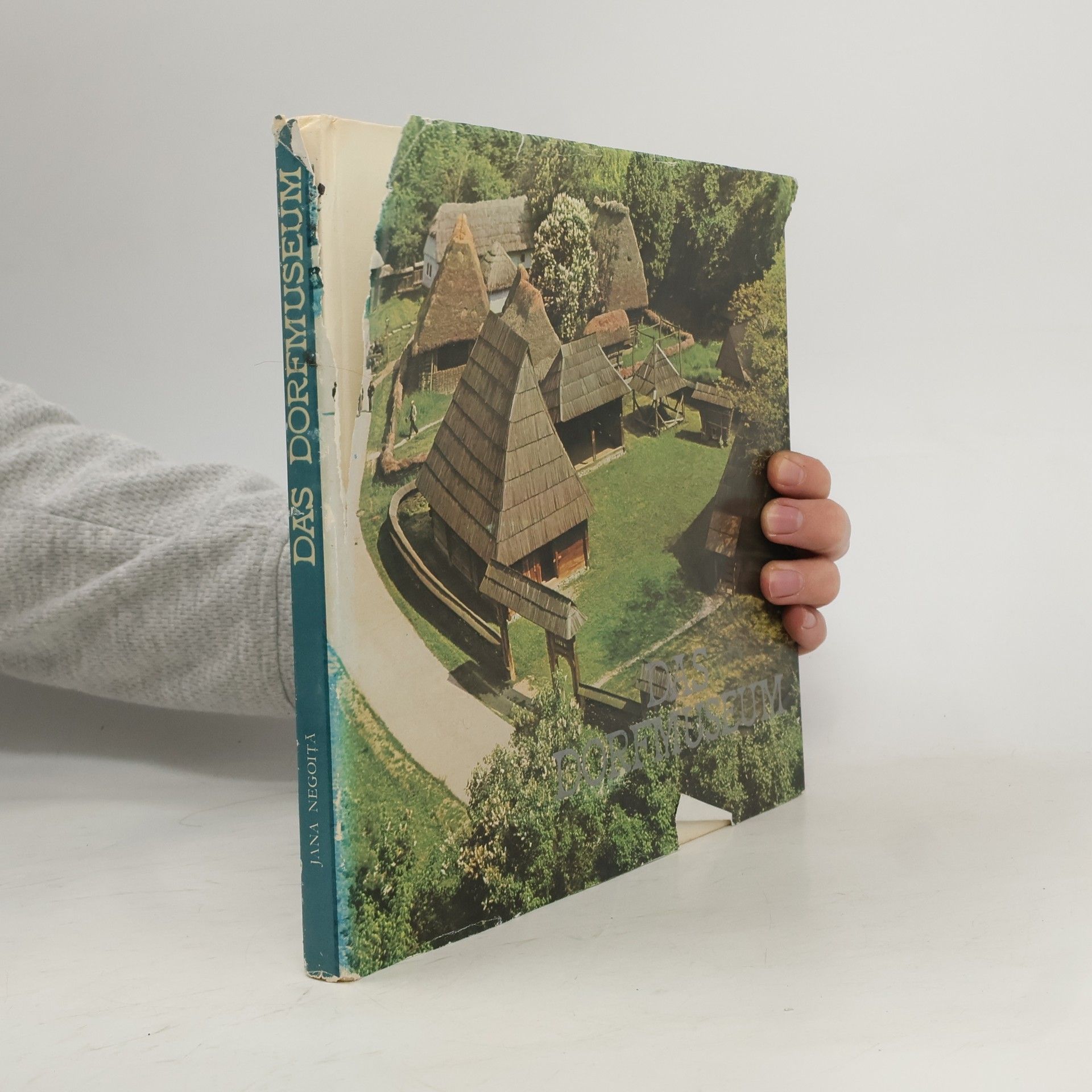 Jana Negoita Das Dorfmuseum