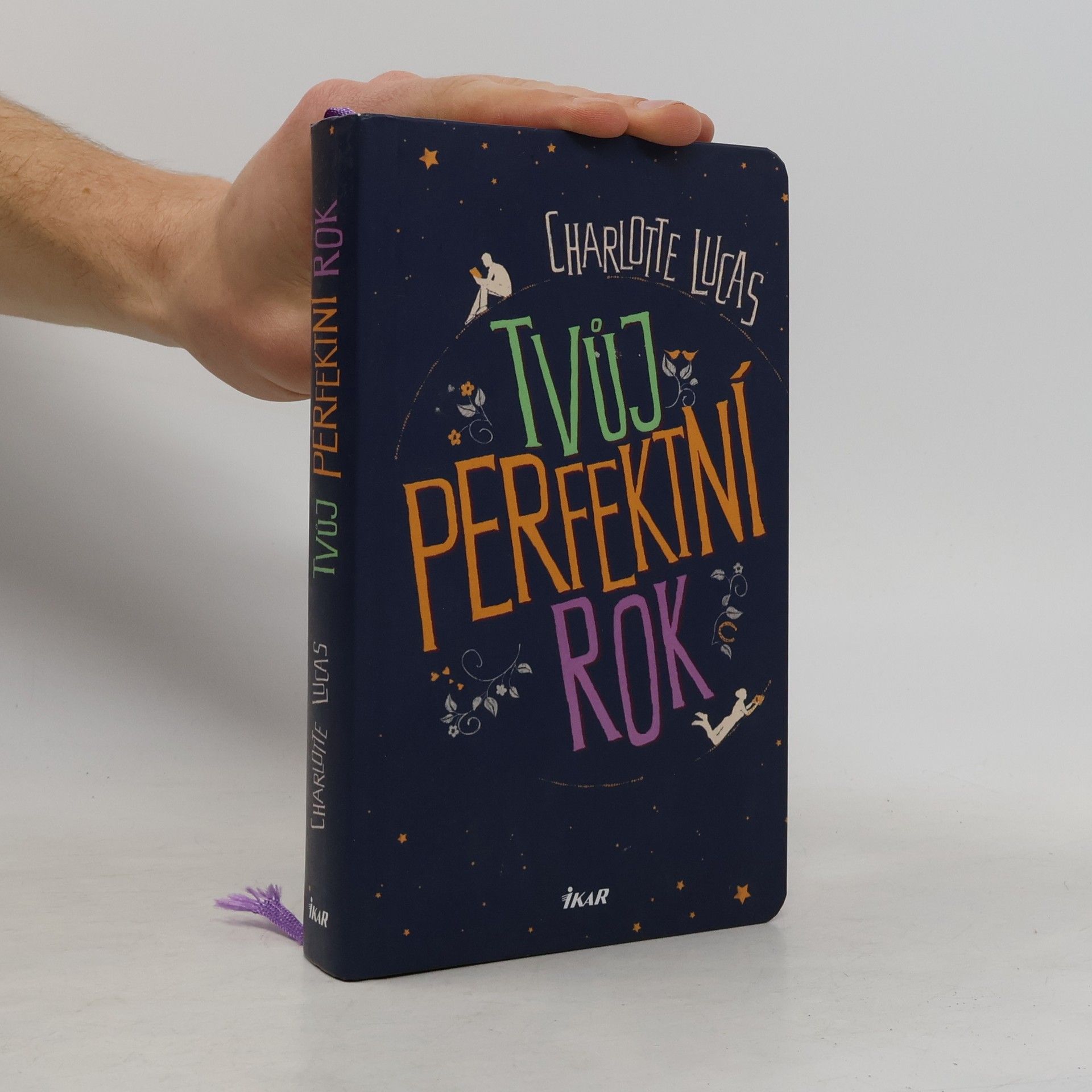 Charlotte Lucas Tvůj perfektní rok